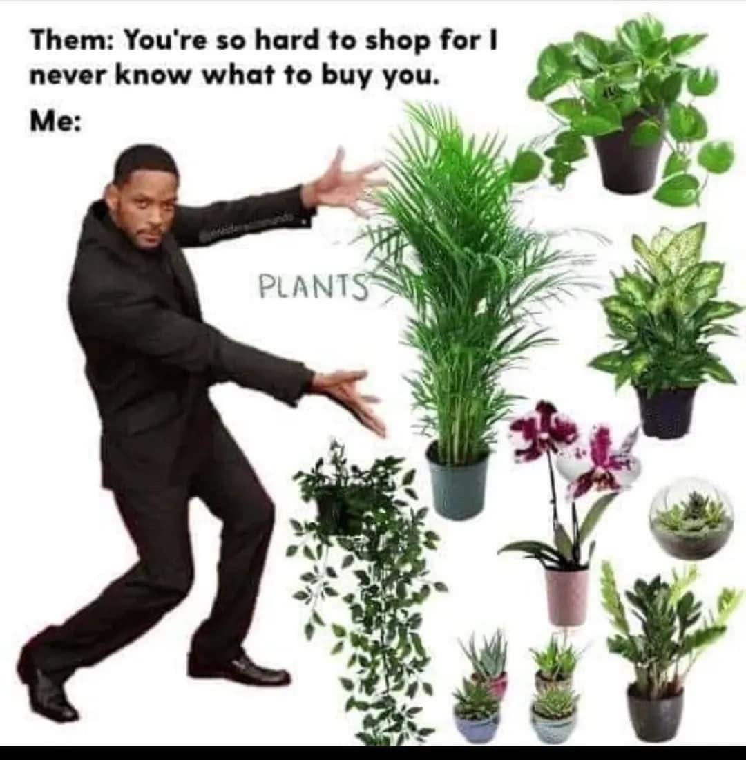 plantjokes #memes #PlantsMakePeopleHappy