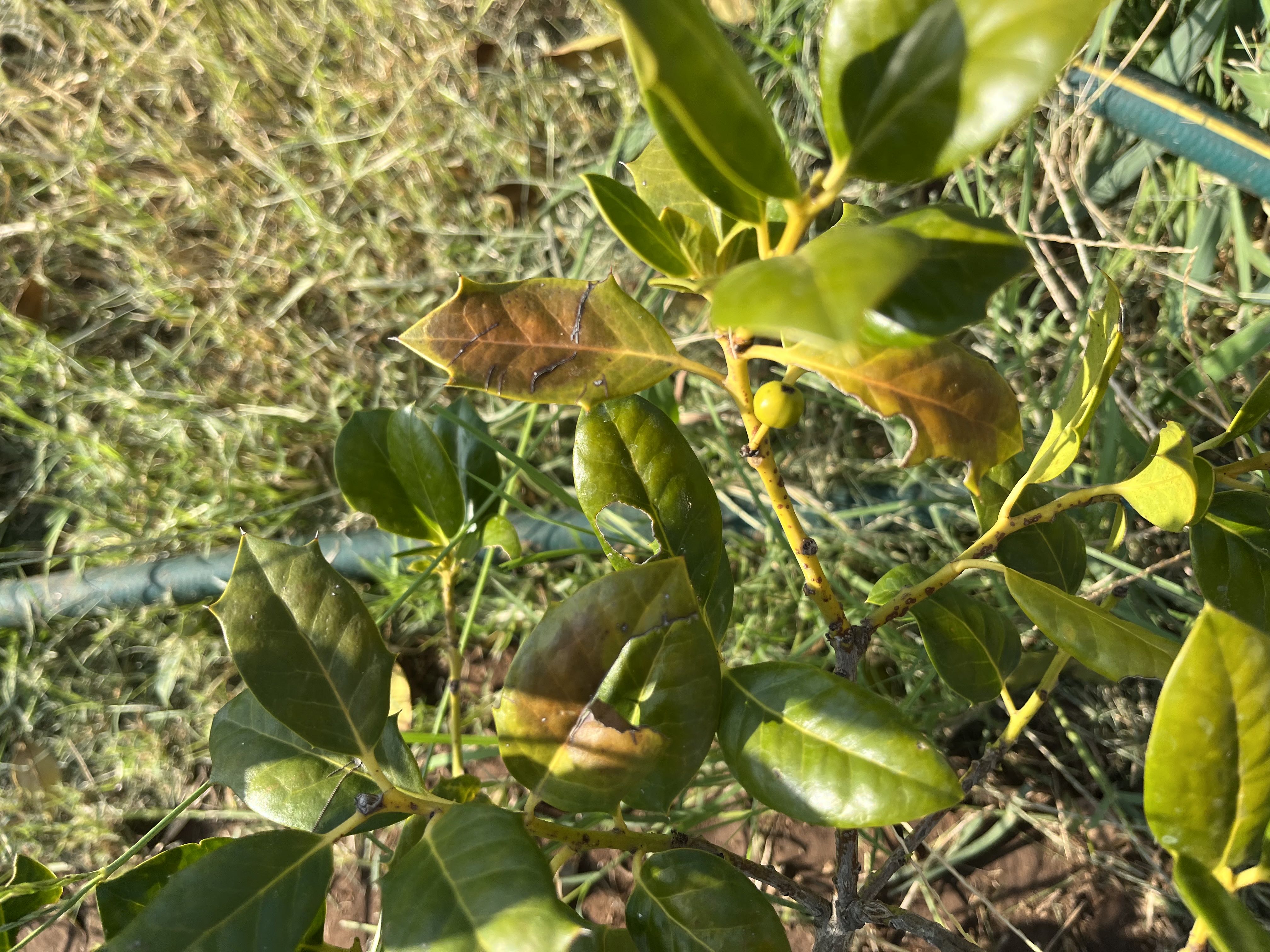 Photo from the post
