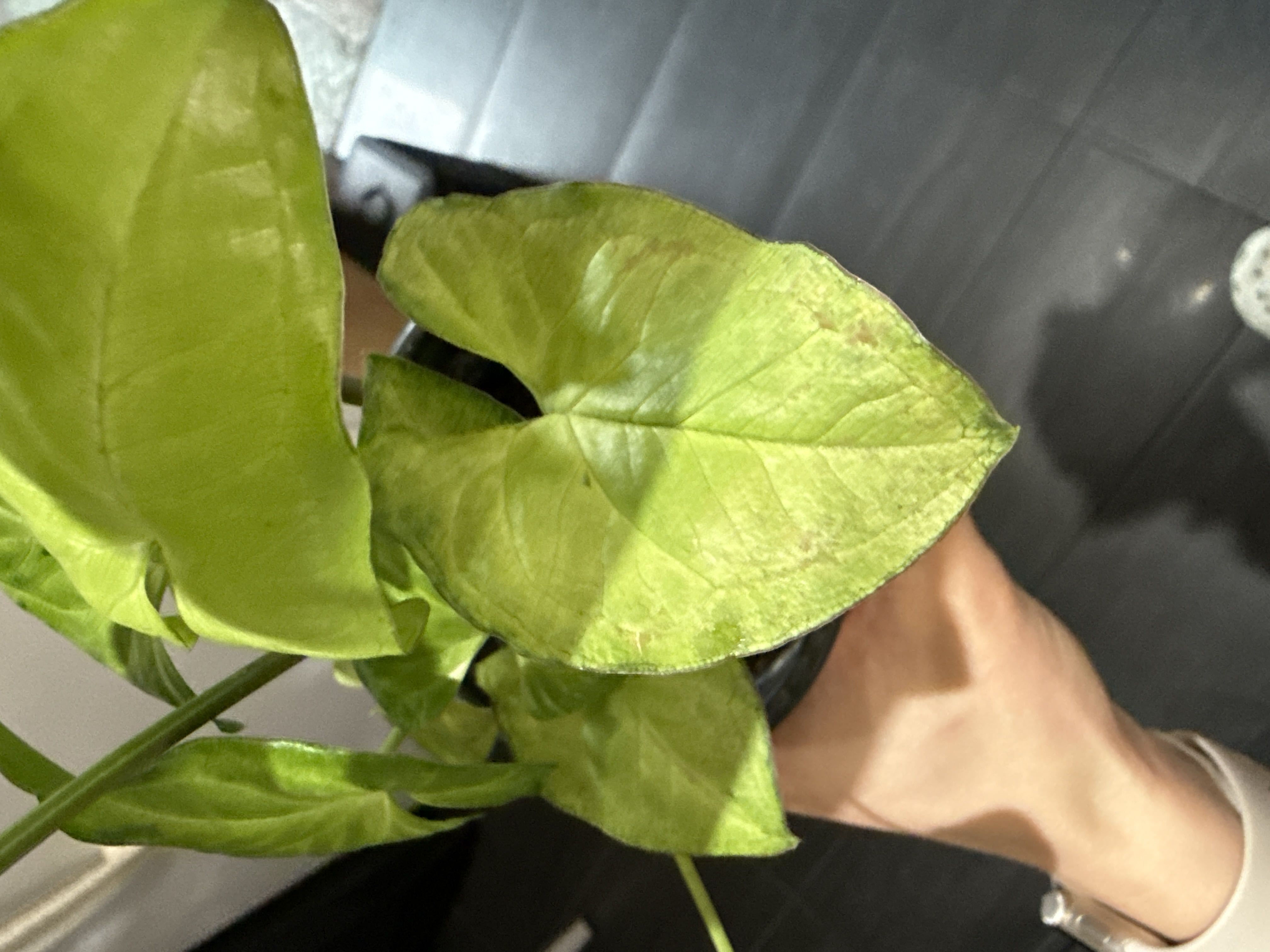 Photo from the post