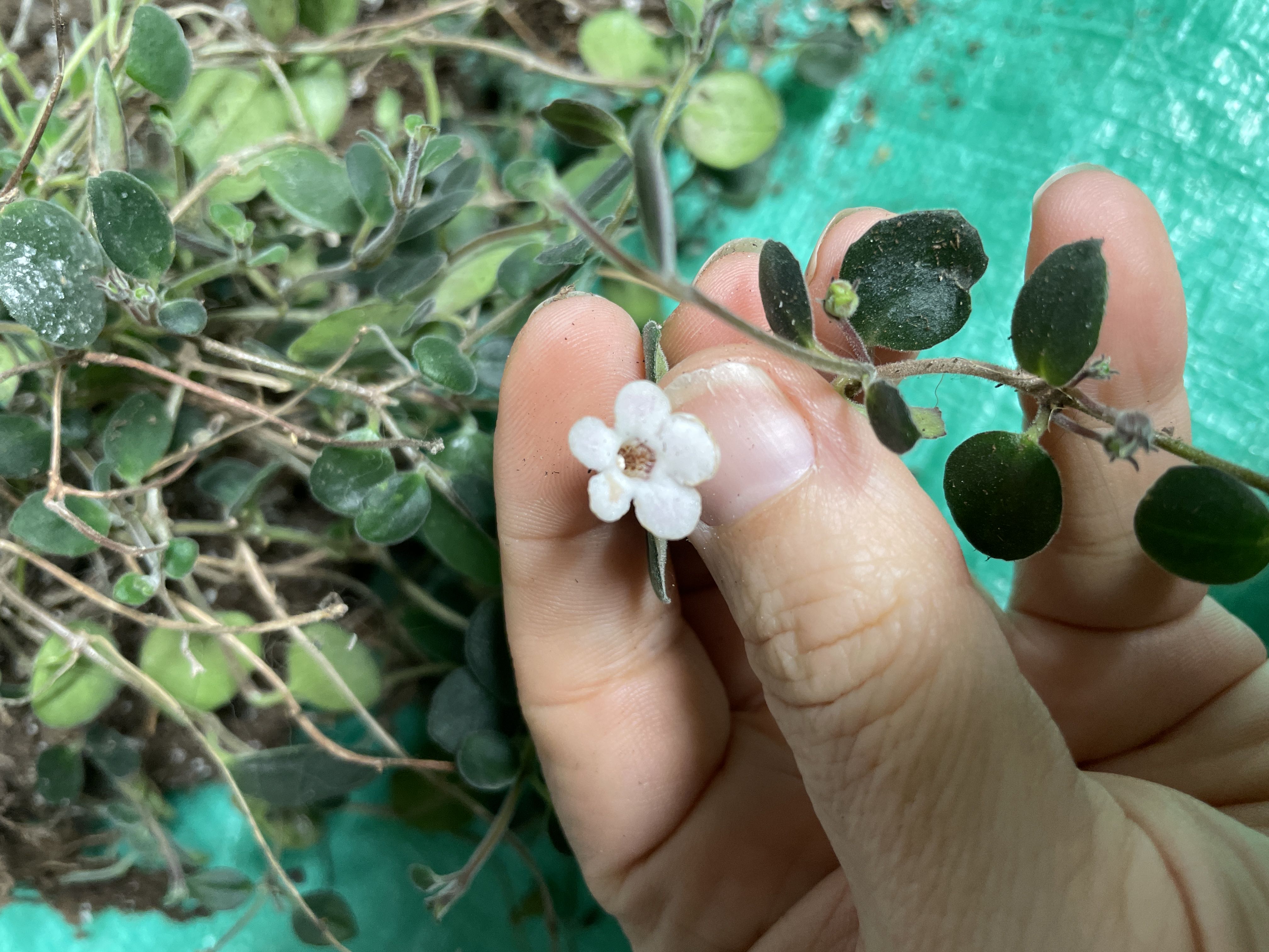 Photo from the post