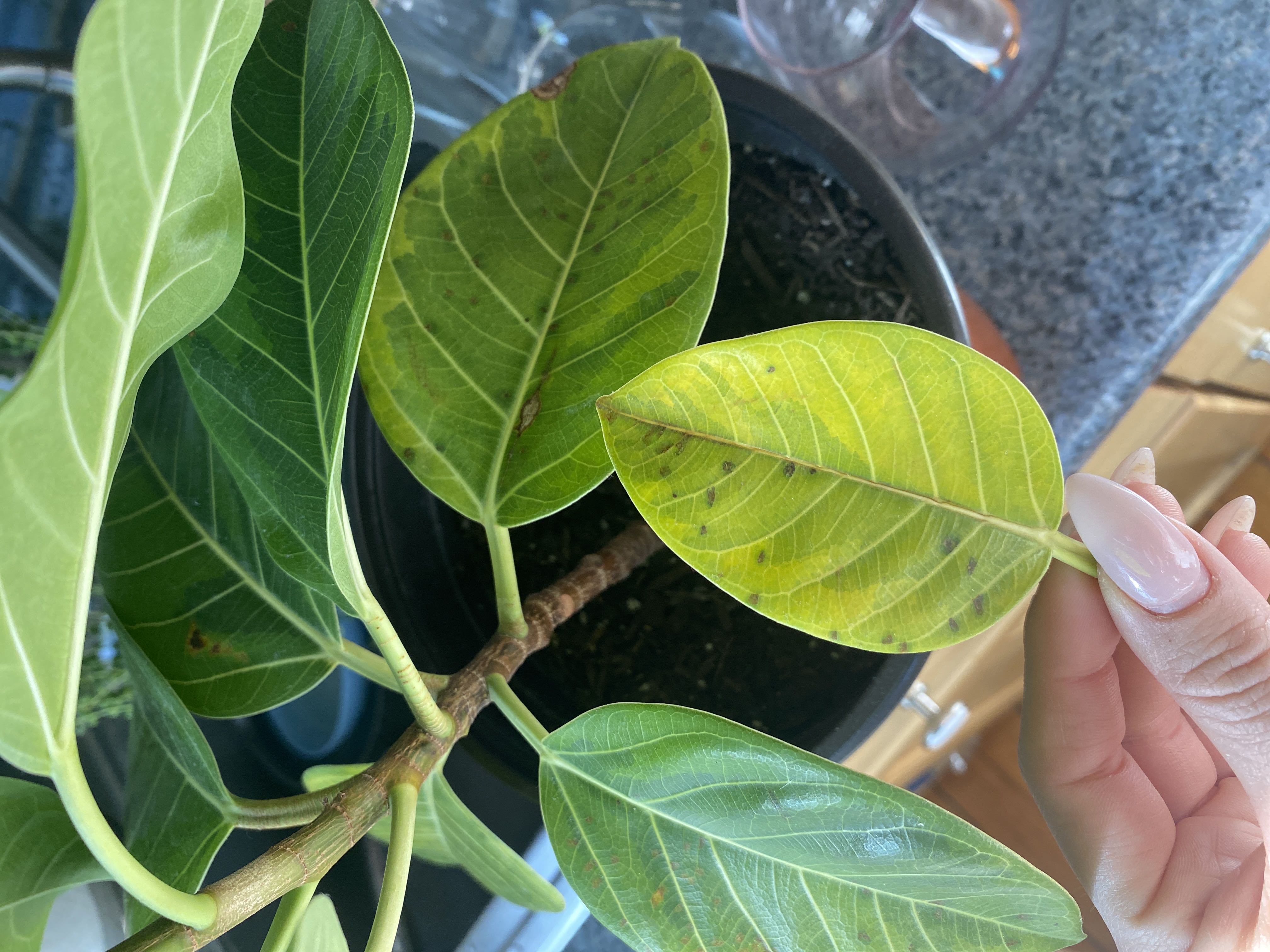 Photo from the post