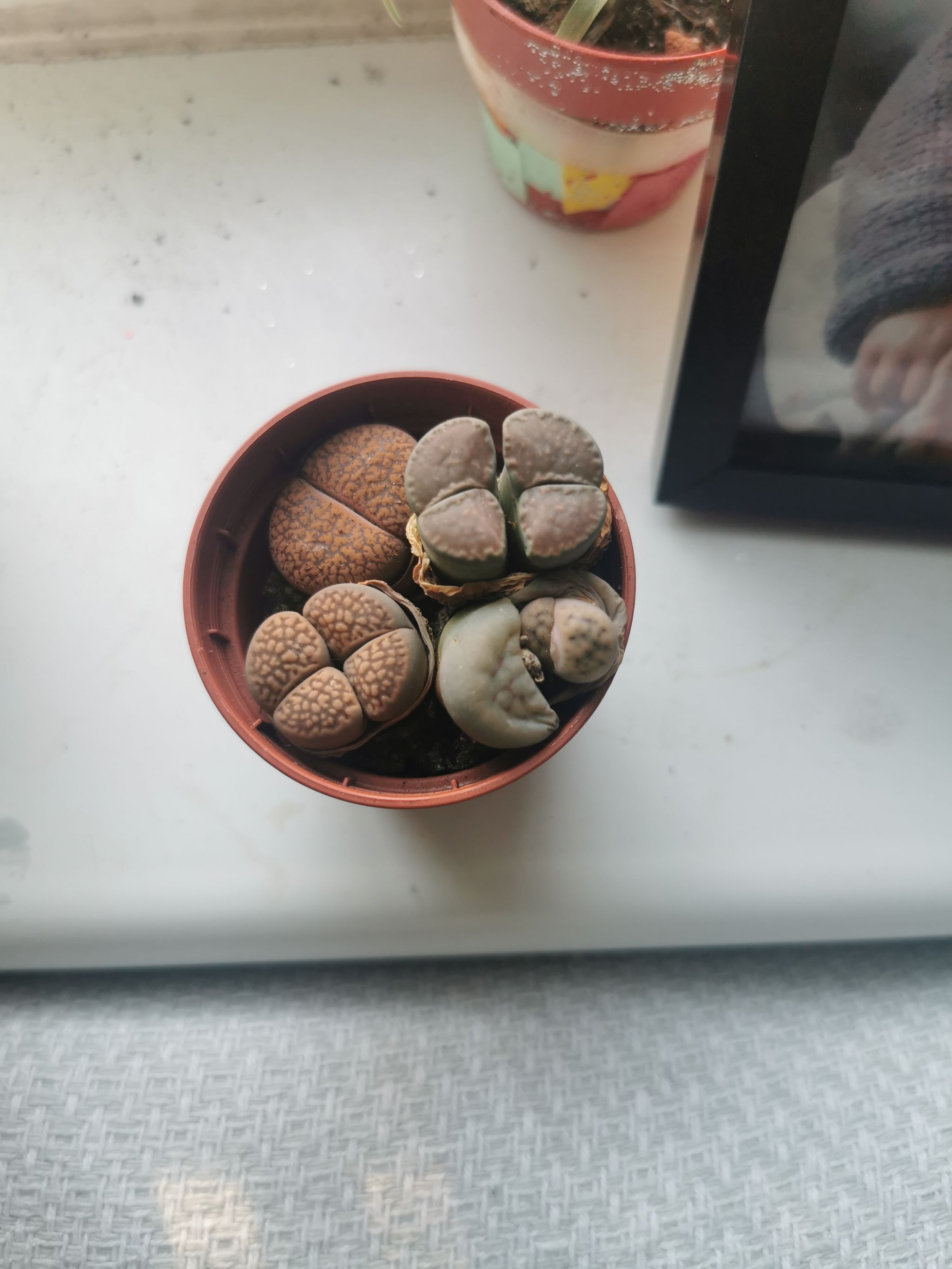 Photo from the post