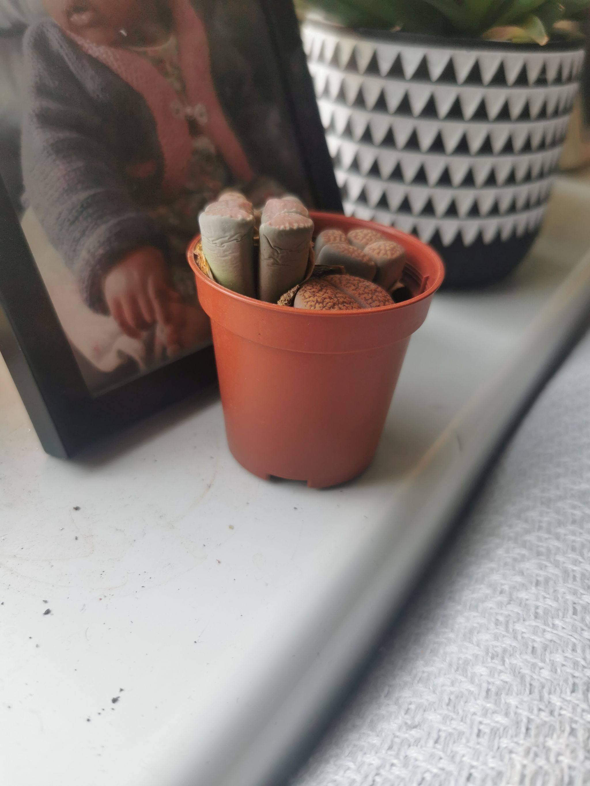 Photo from the post