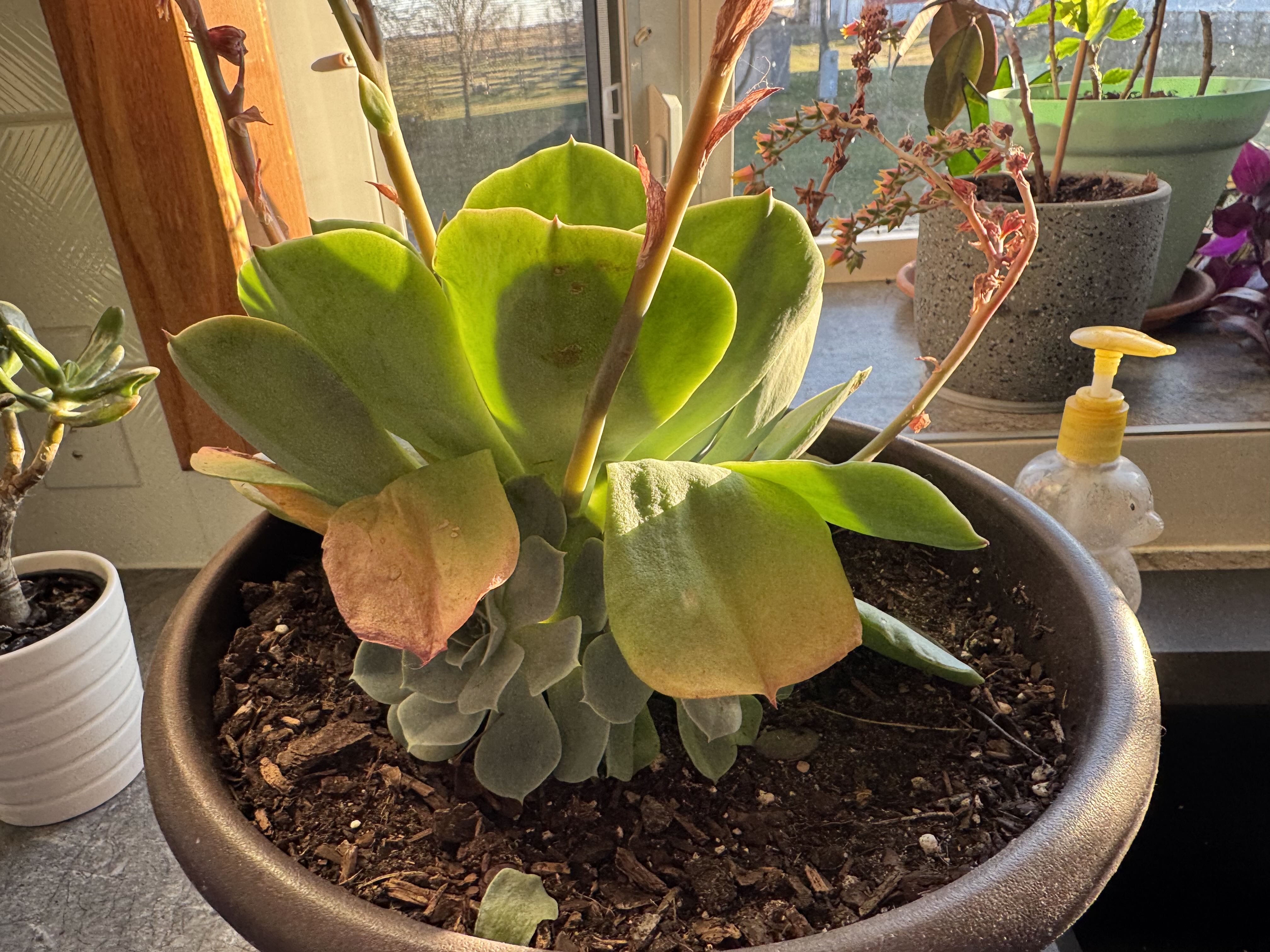 Photo from the post