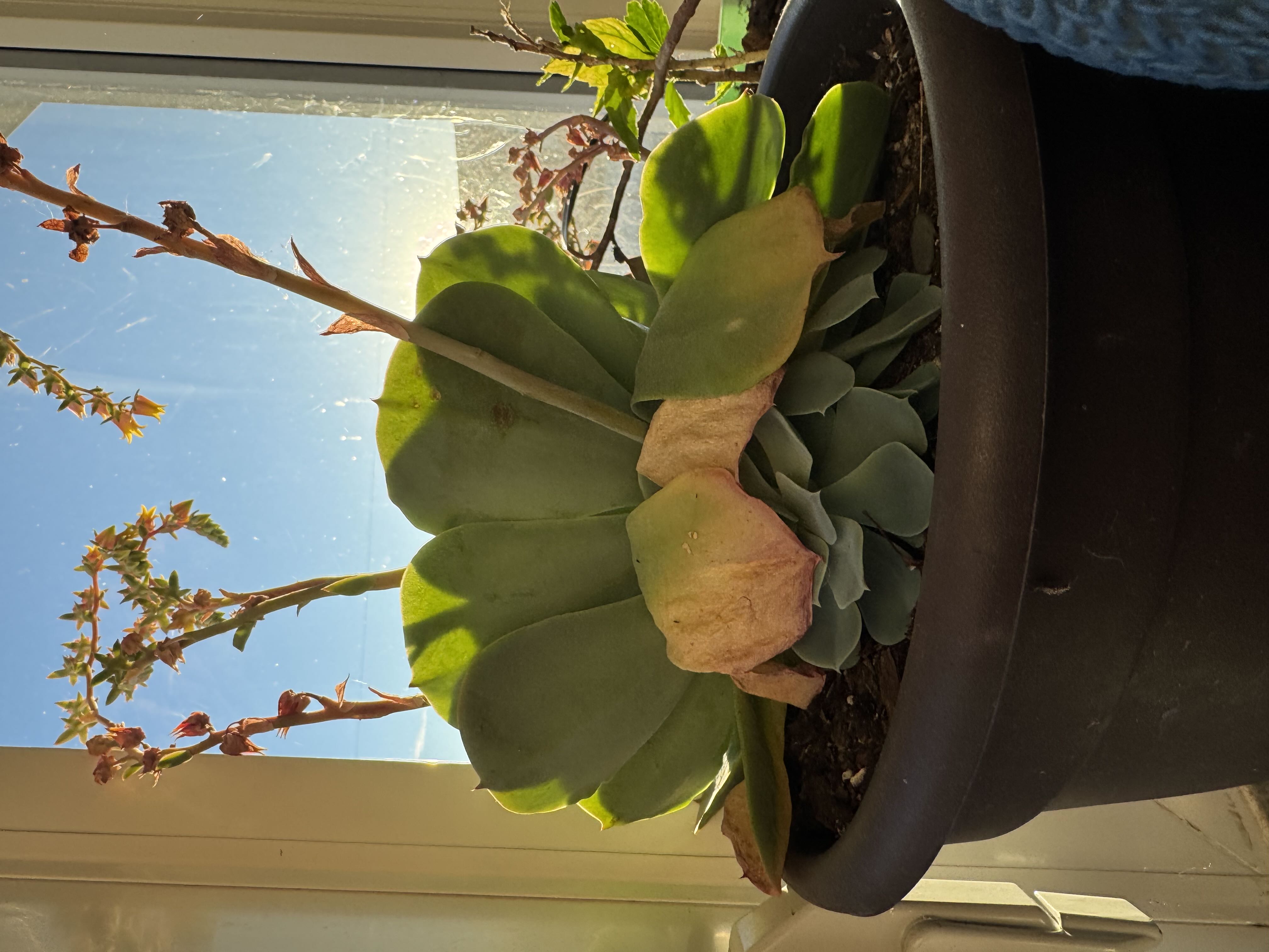 Photo from the post