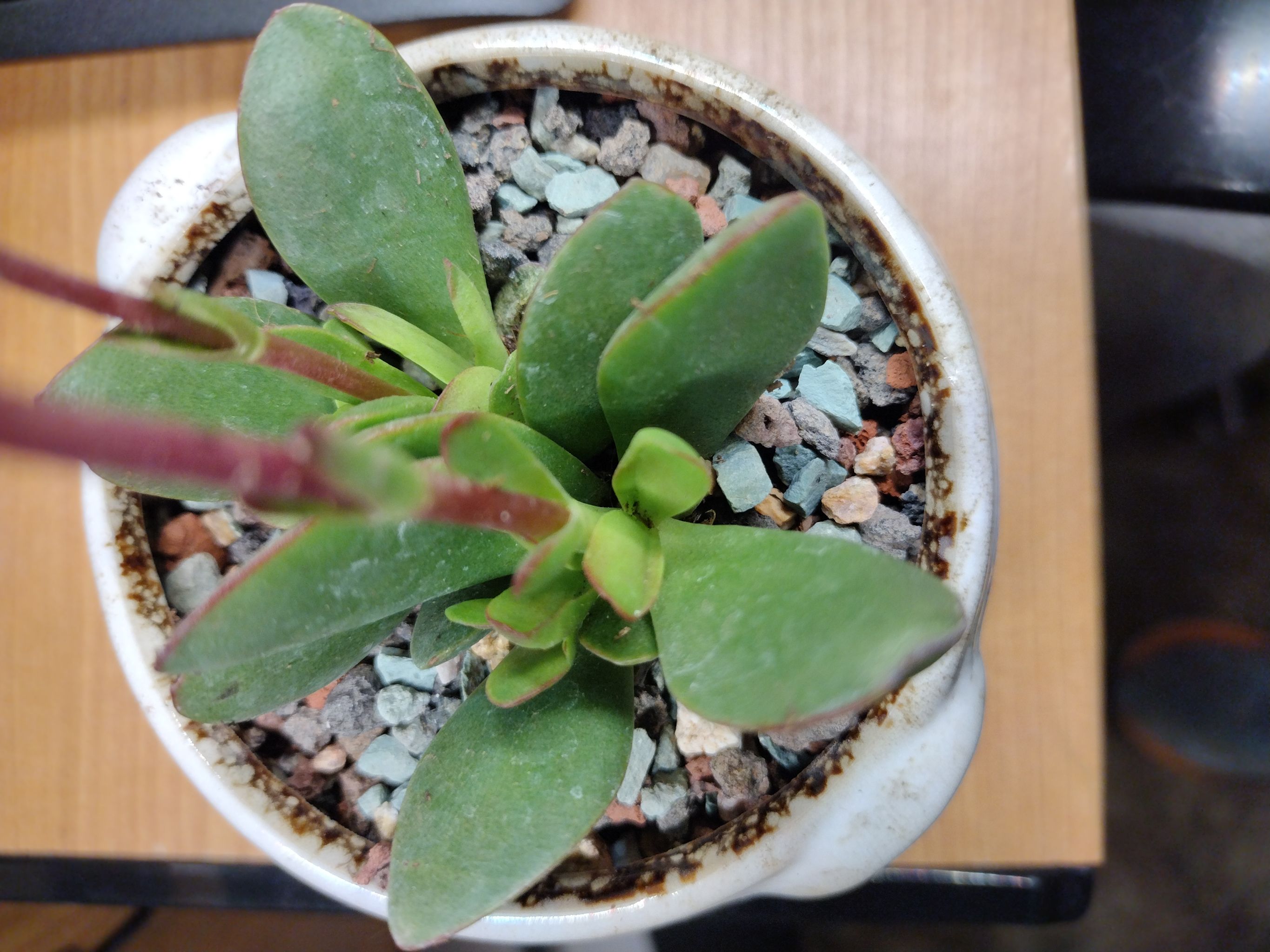 Photo from the post