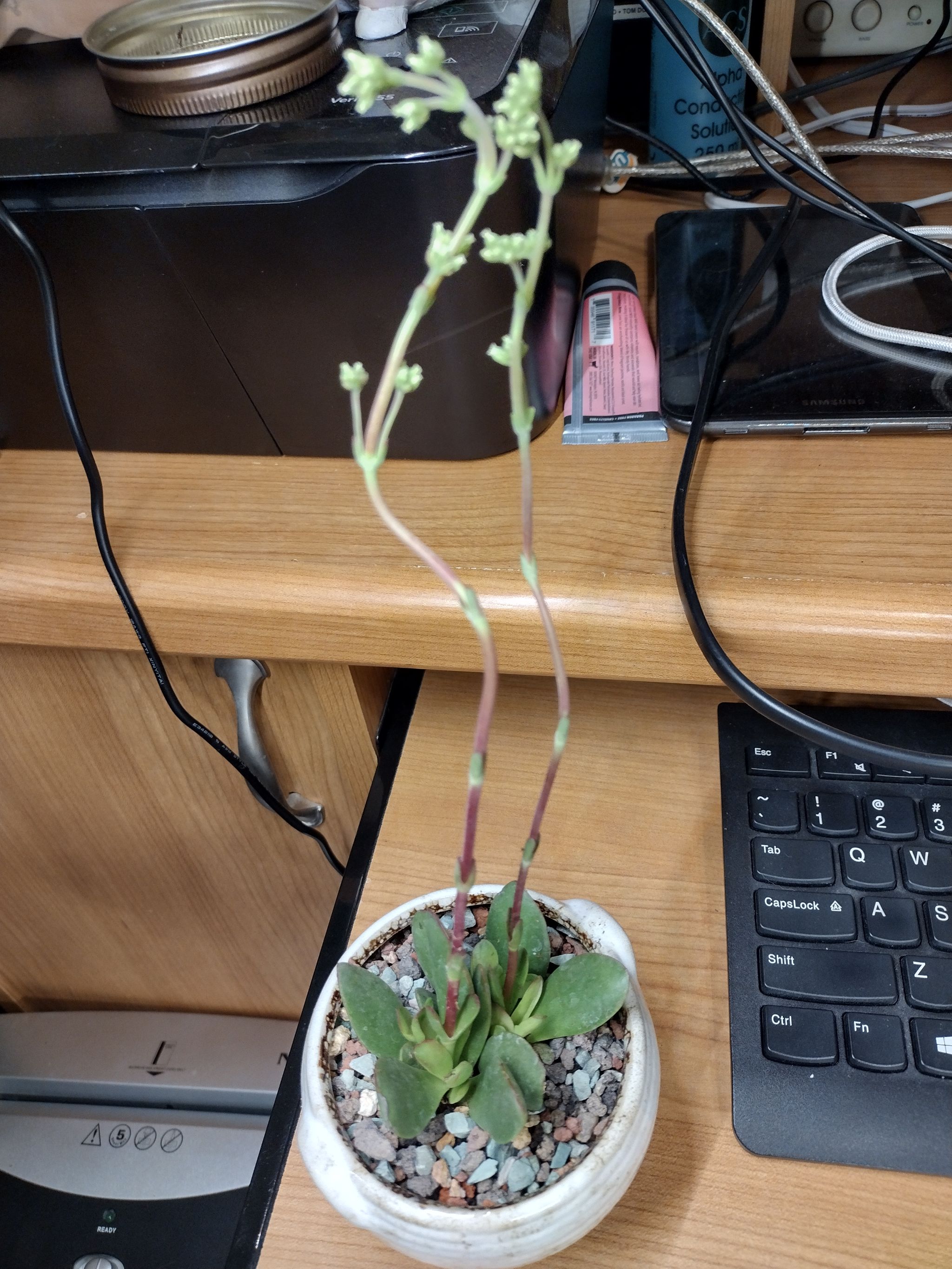 Photo from the post
