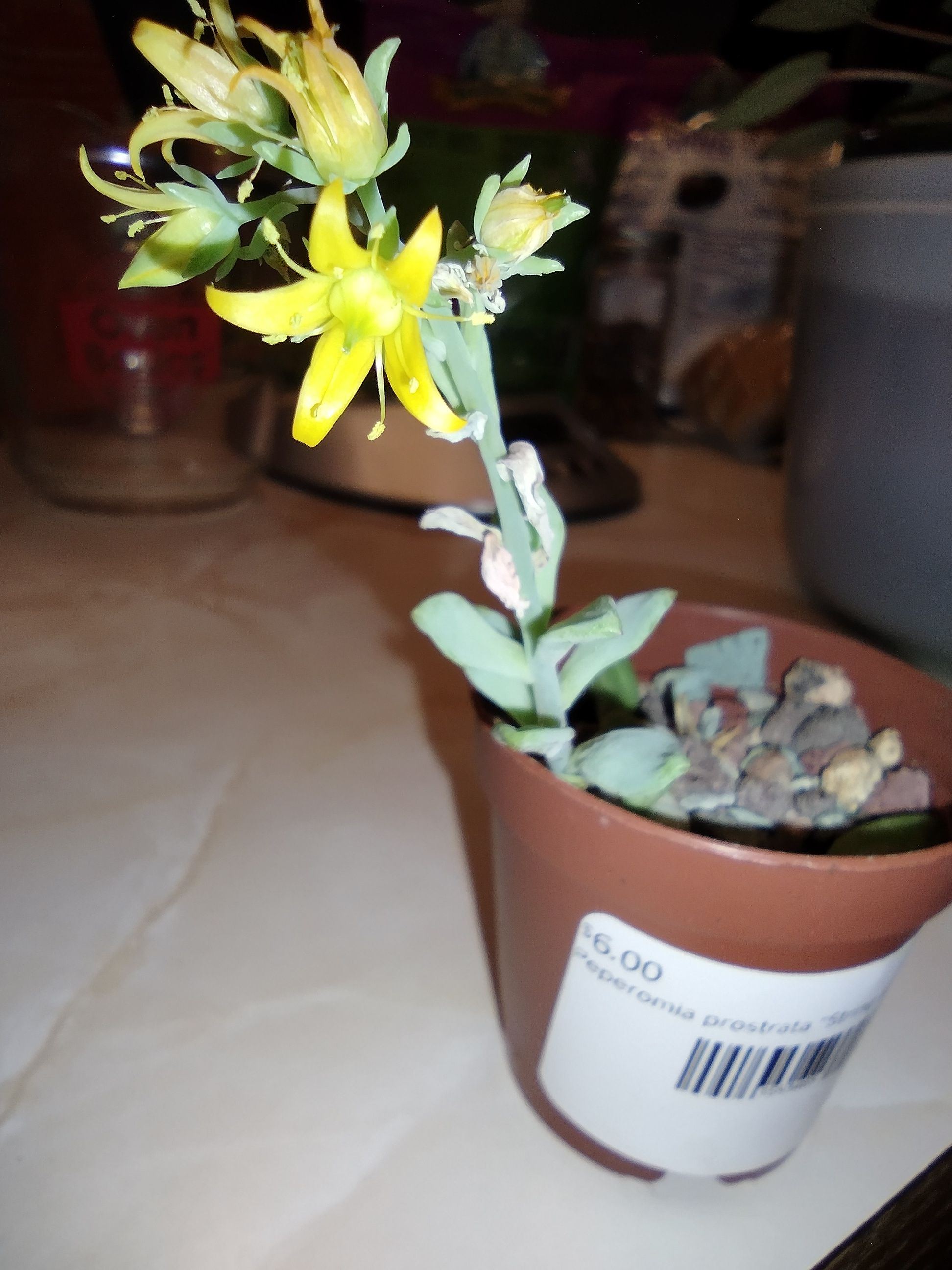 Photo from the post