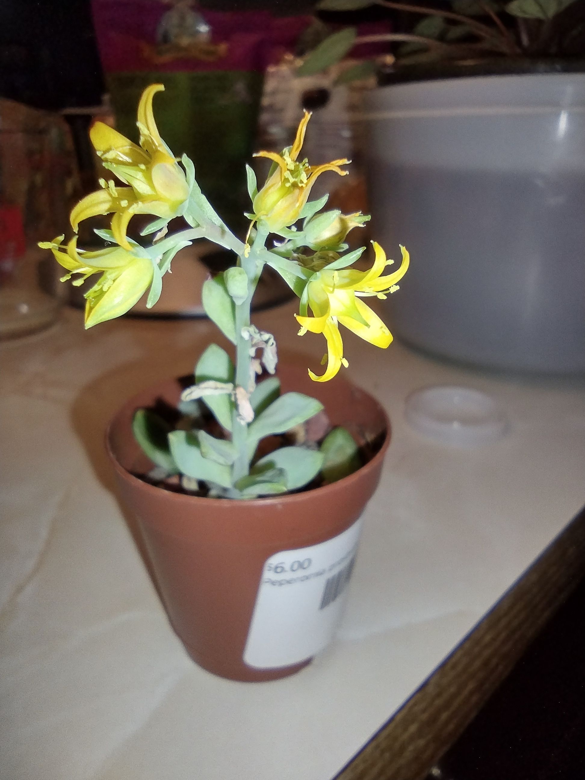 Photo from the post