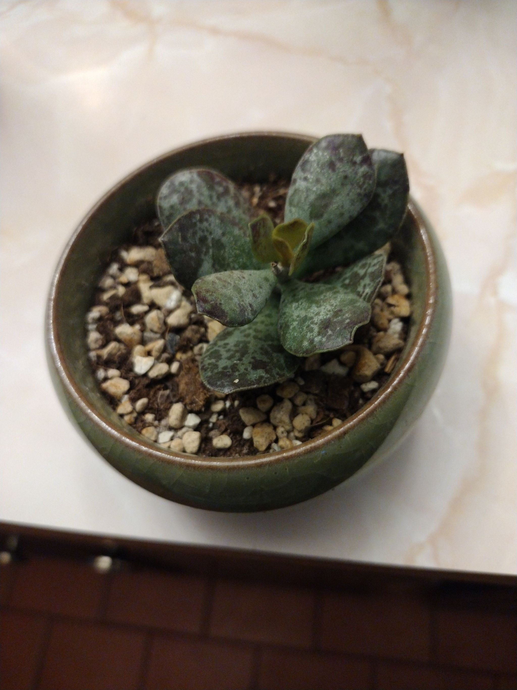 Photo from the post