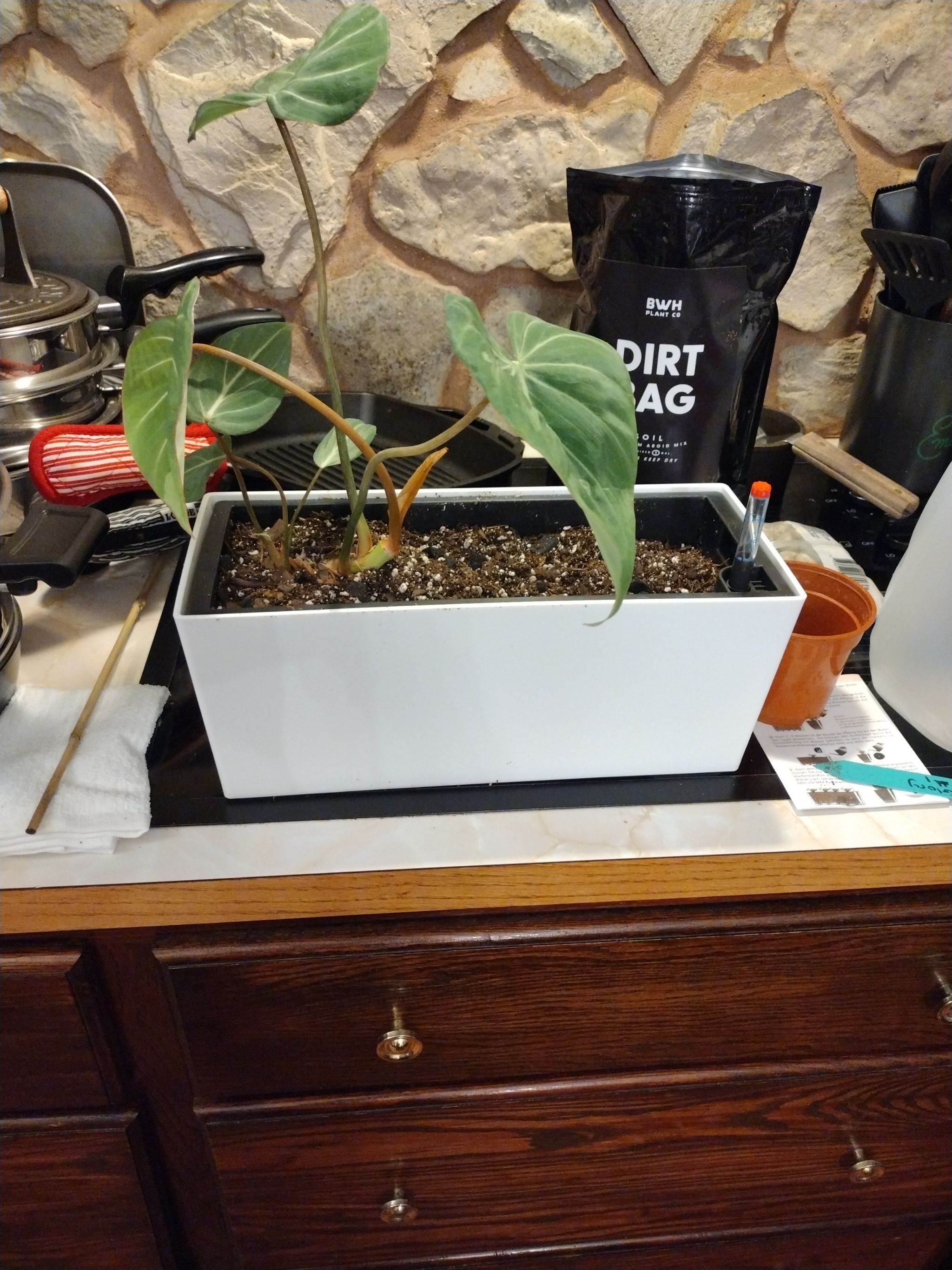 Photo from the post