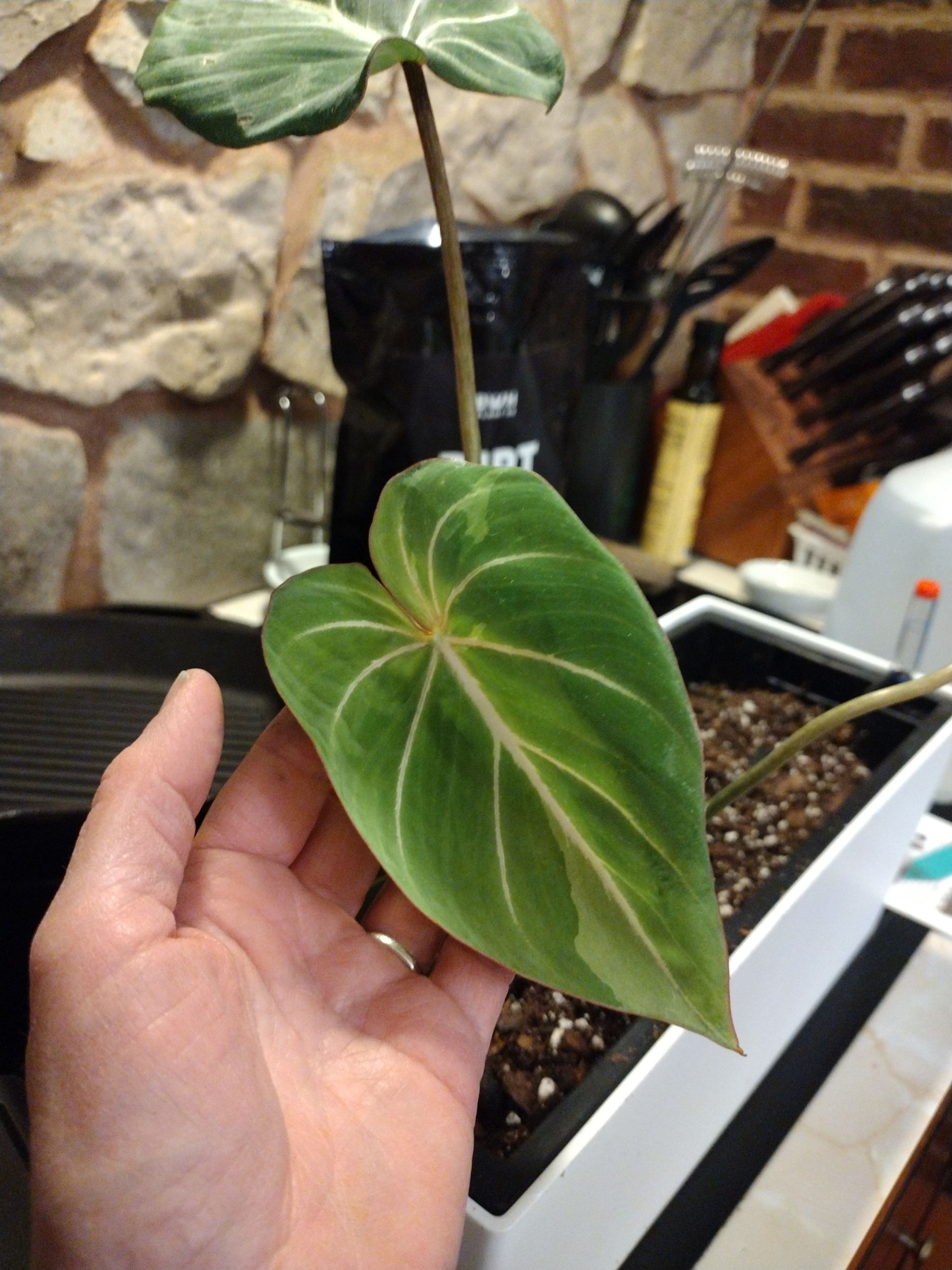 Photo from the post