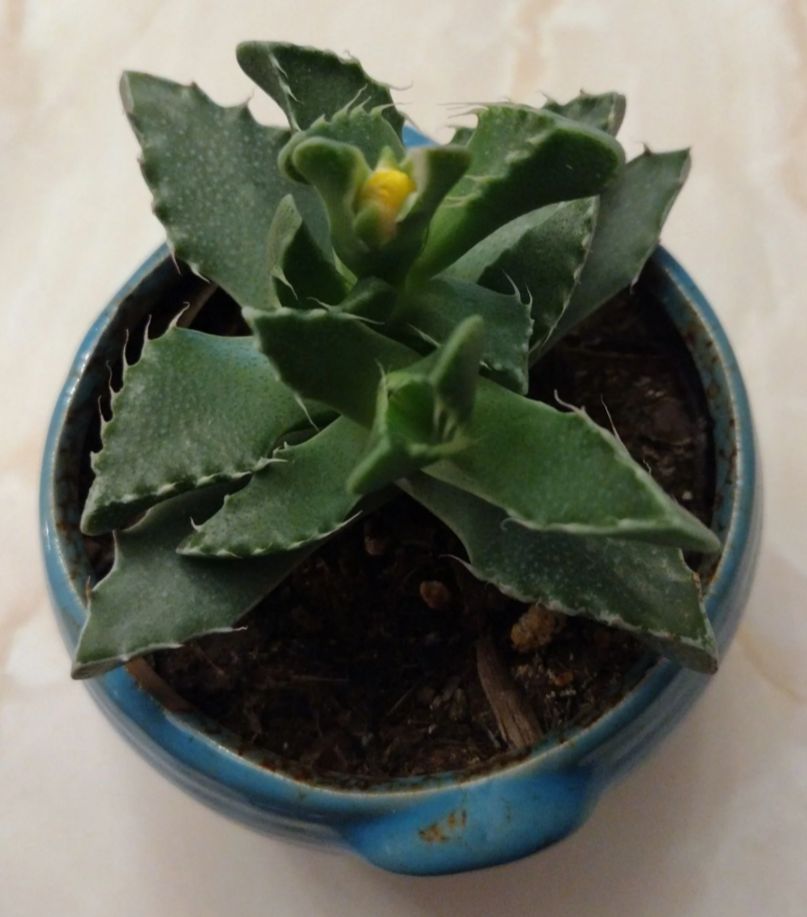 Photo from the post