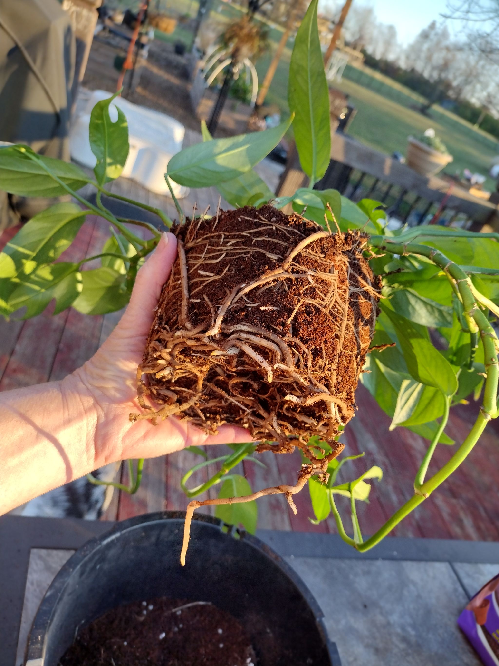 Photo from the post