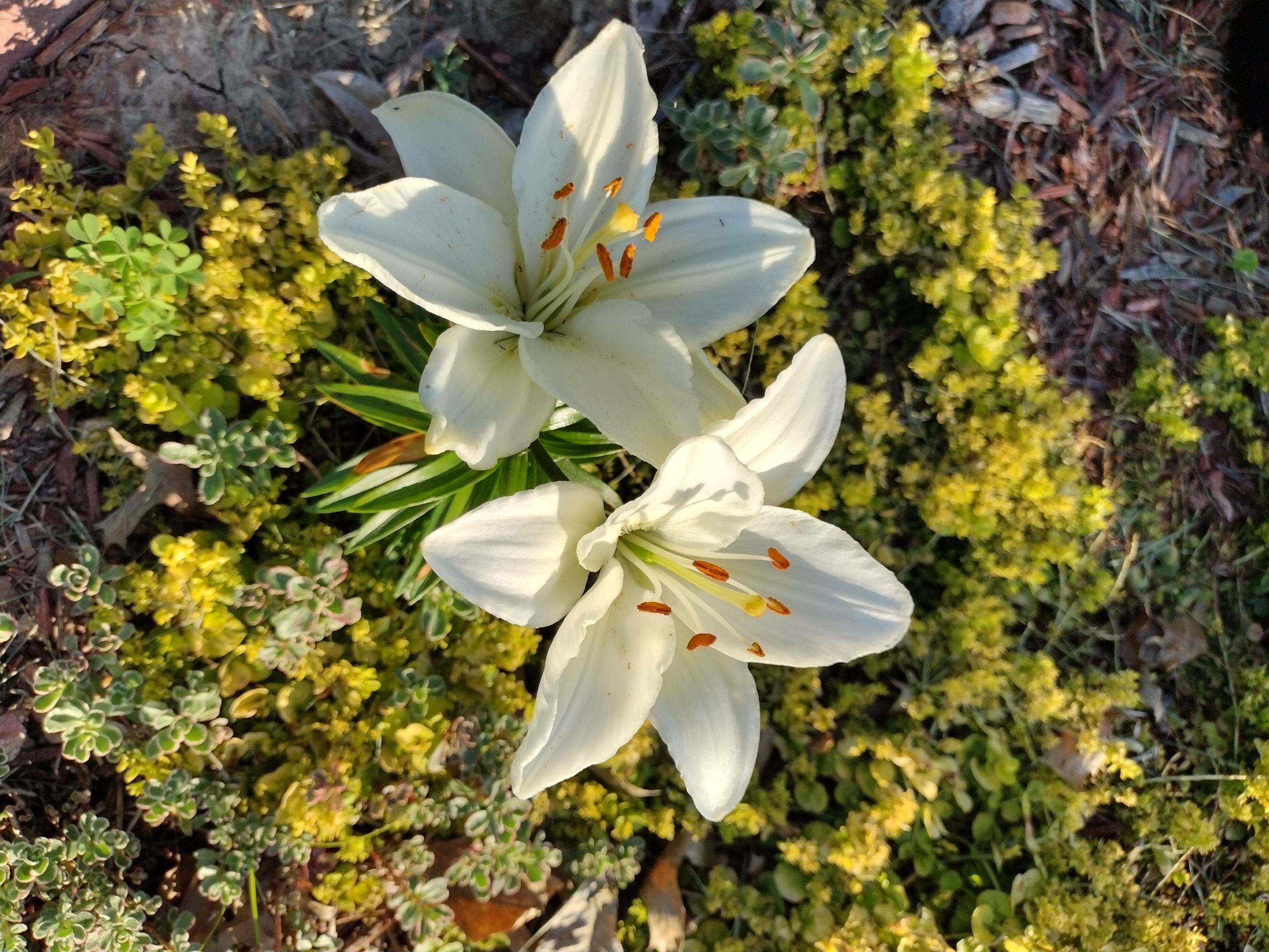 Photo from the post