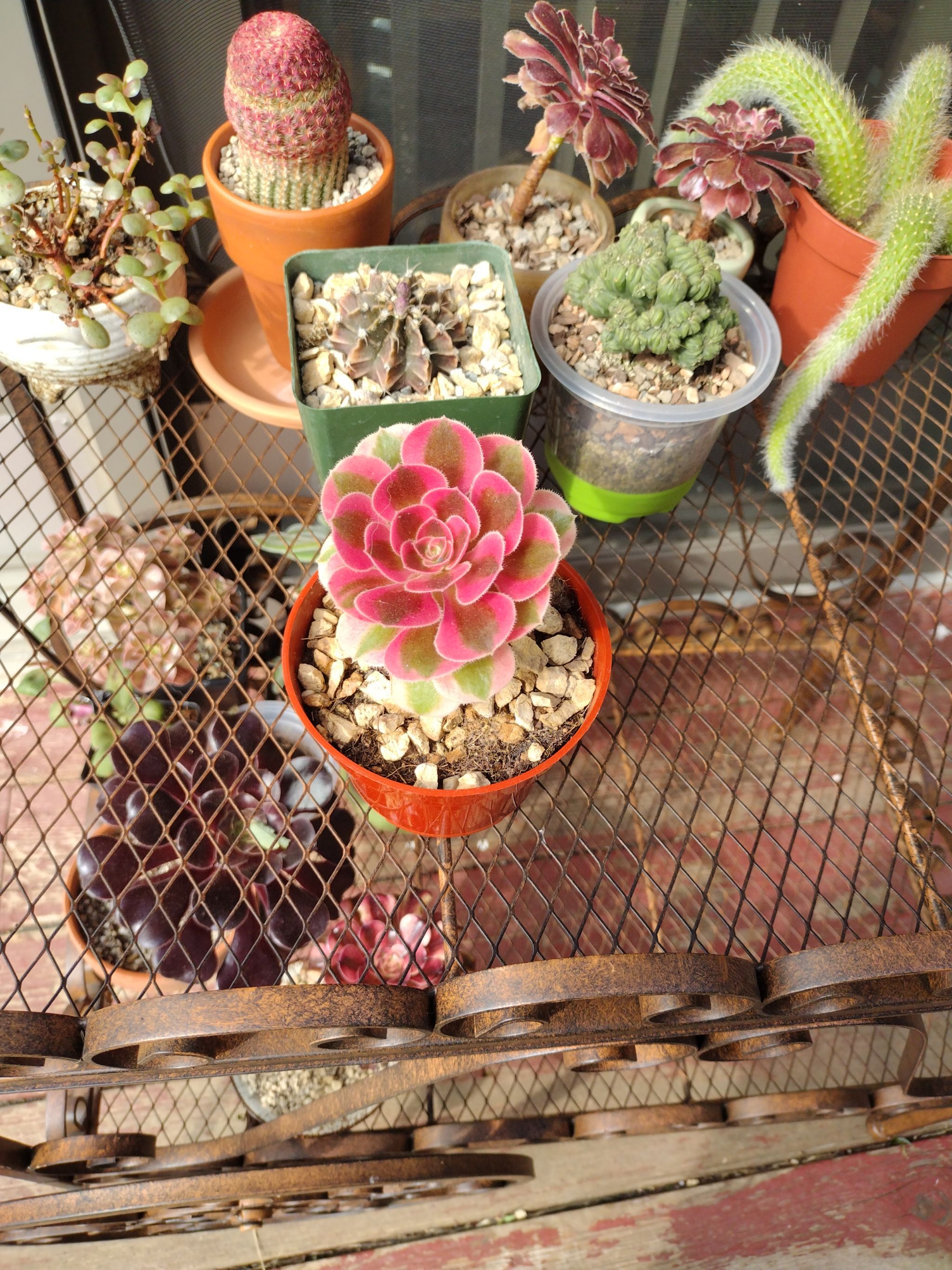 Photo from the post