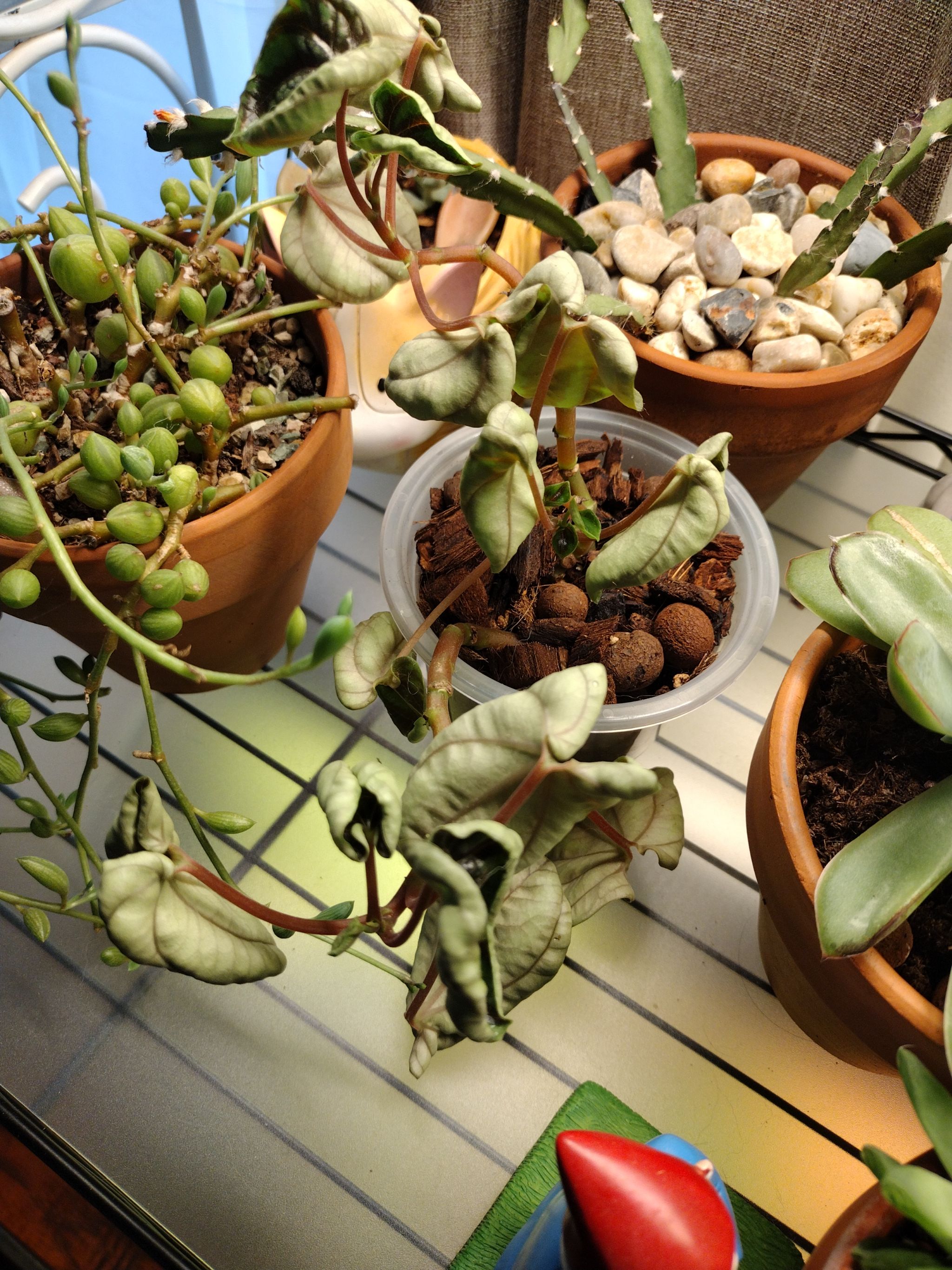 Photo from the post