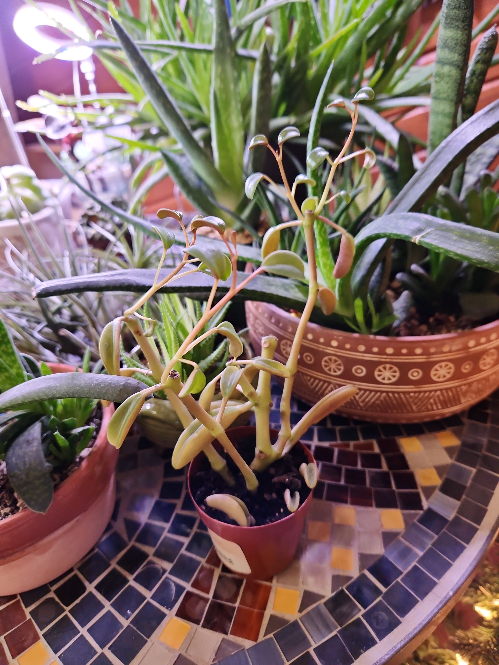 Photo from the post