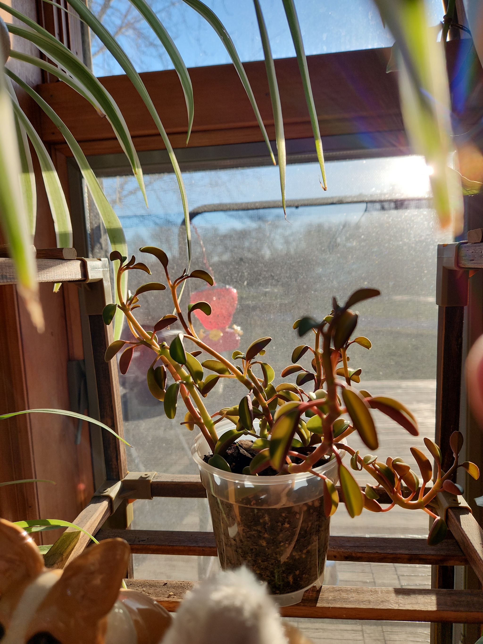 Photo from the post
