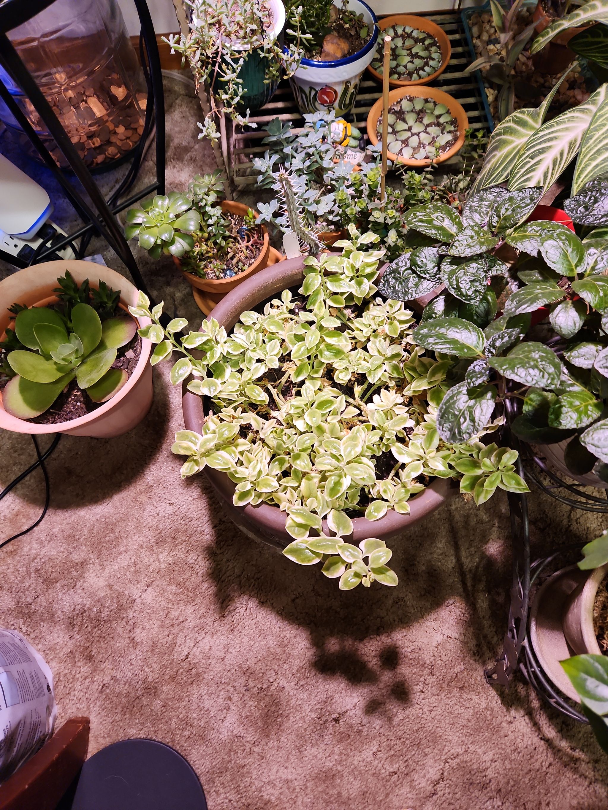 Photo from the post