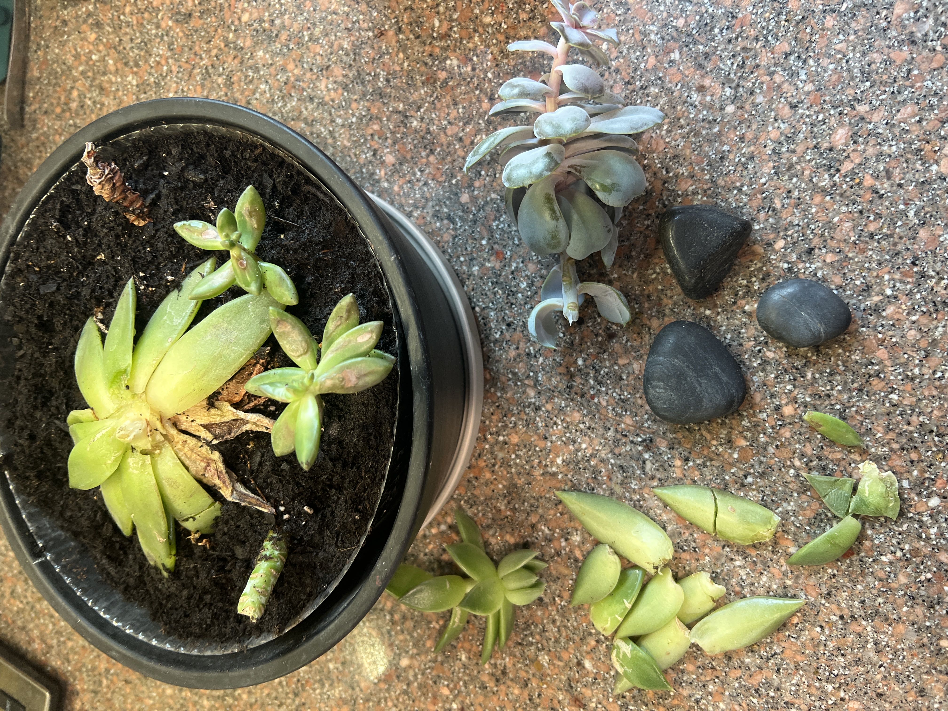 Photo from the post