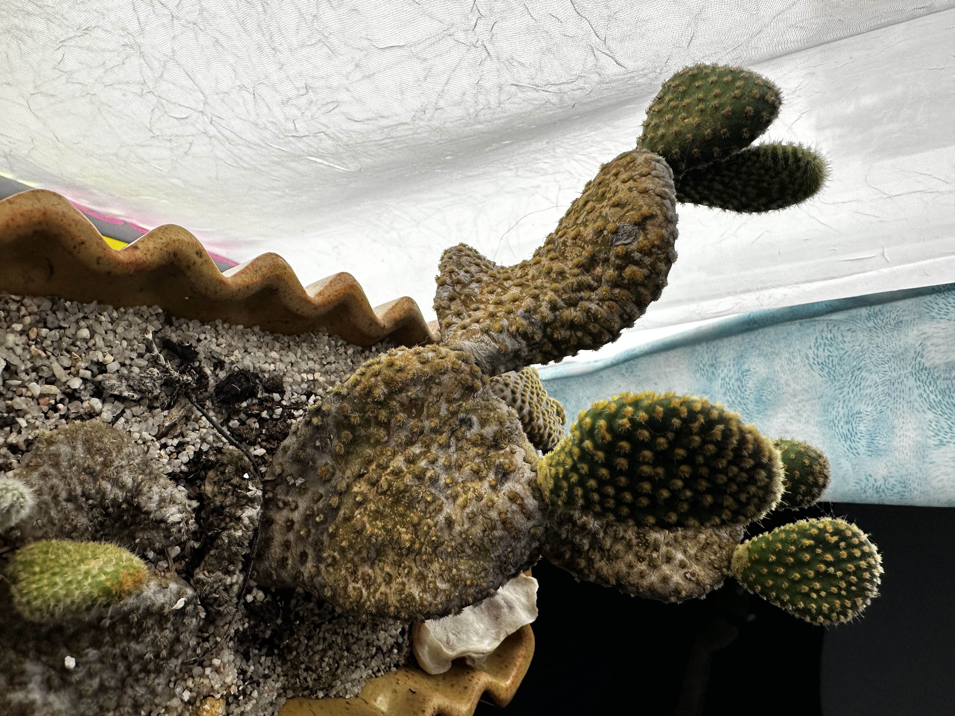 Photo from the post