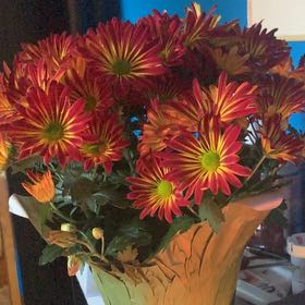 Photo of the plant species Pelee Mums by @AquaTides named Keanu Leaves on Greg, the plant care app