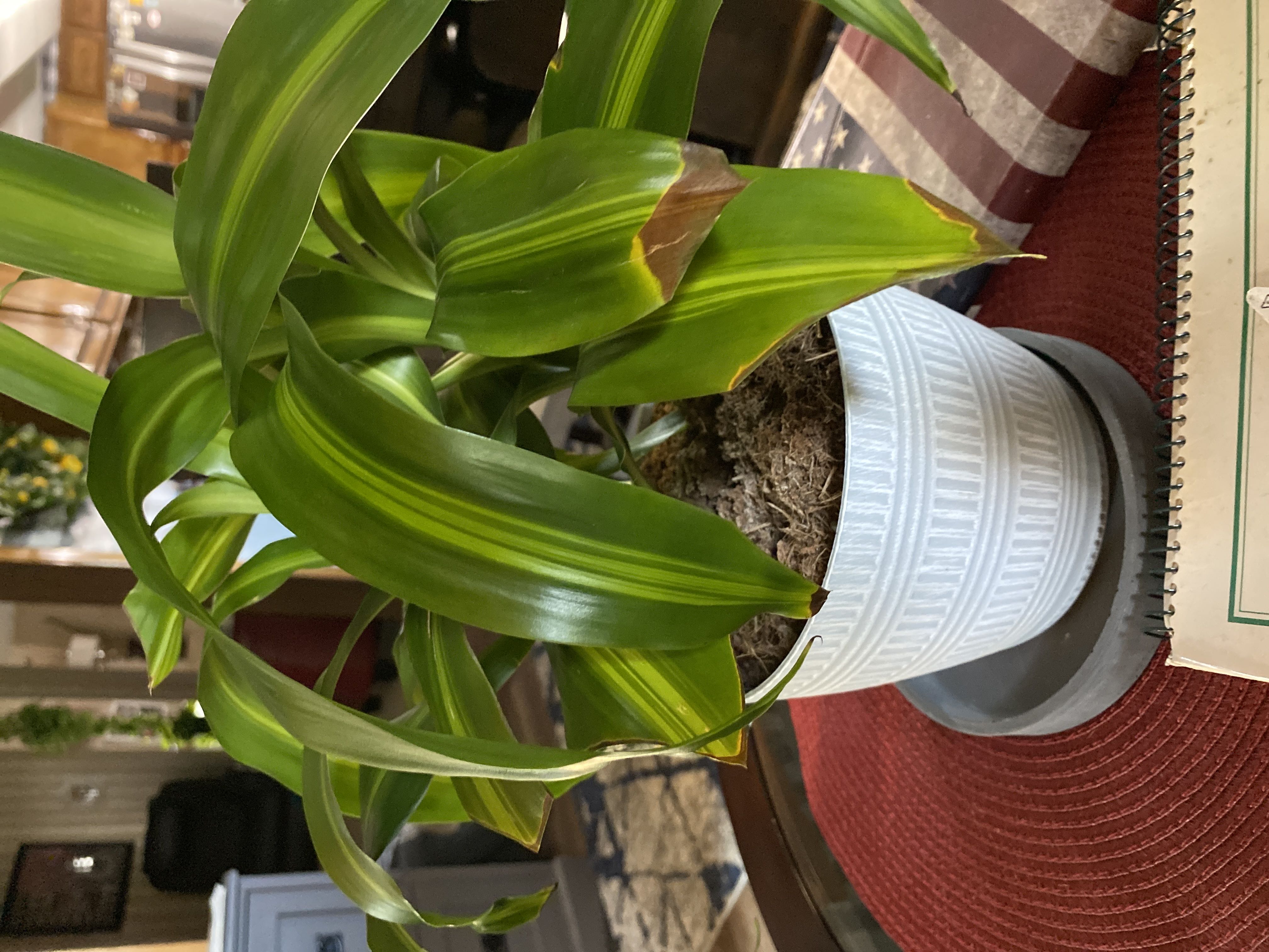 Photo from the post