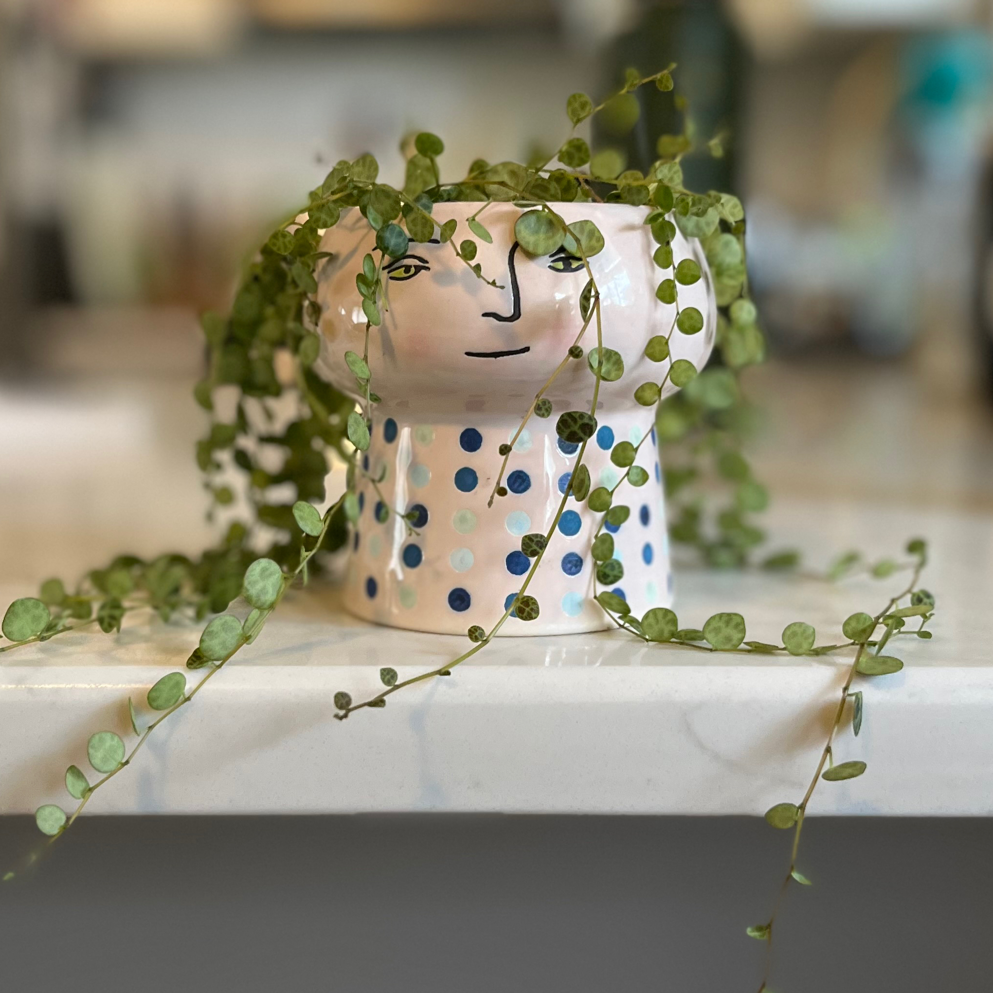 String of Turtles plant in a decorative pot with a face design, placed on a countertop.