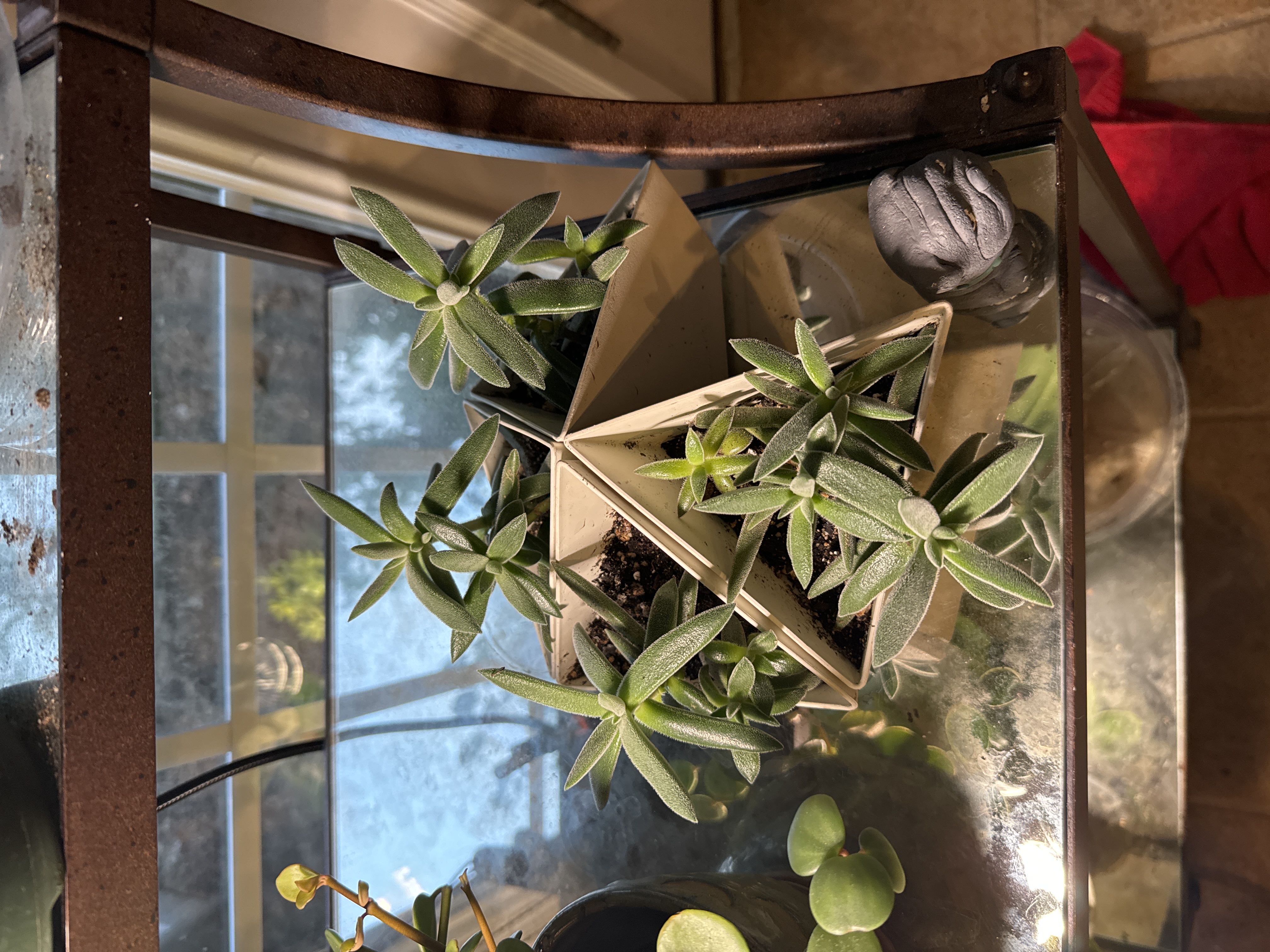 Photo from the post