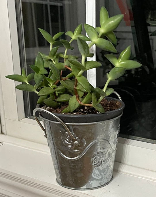 Photo from the post