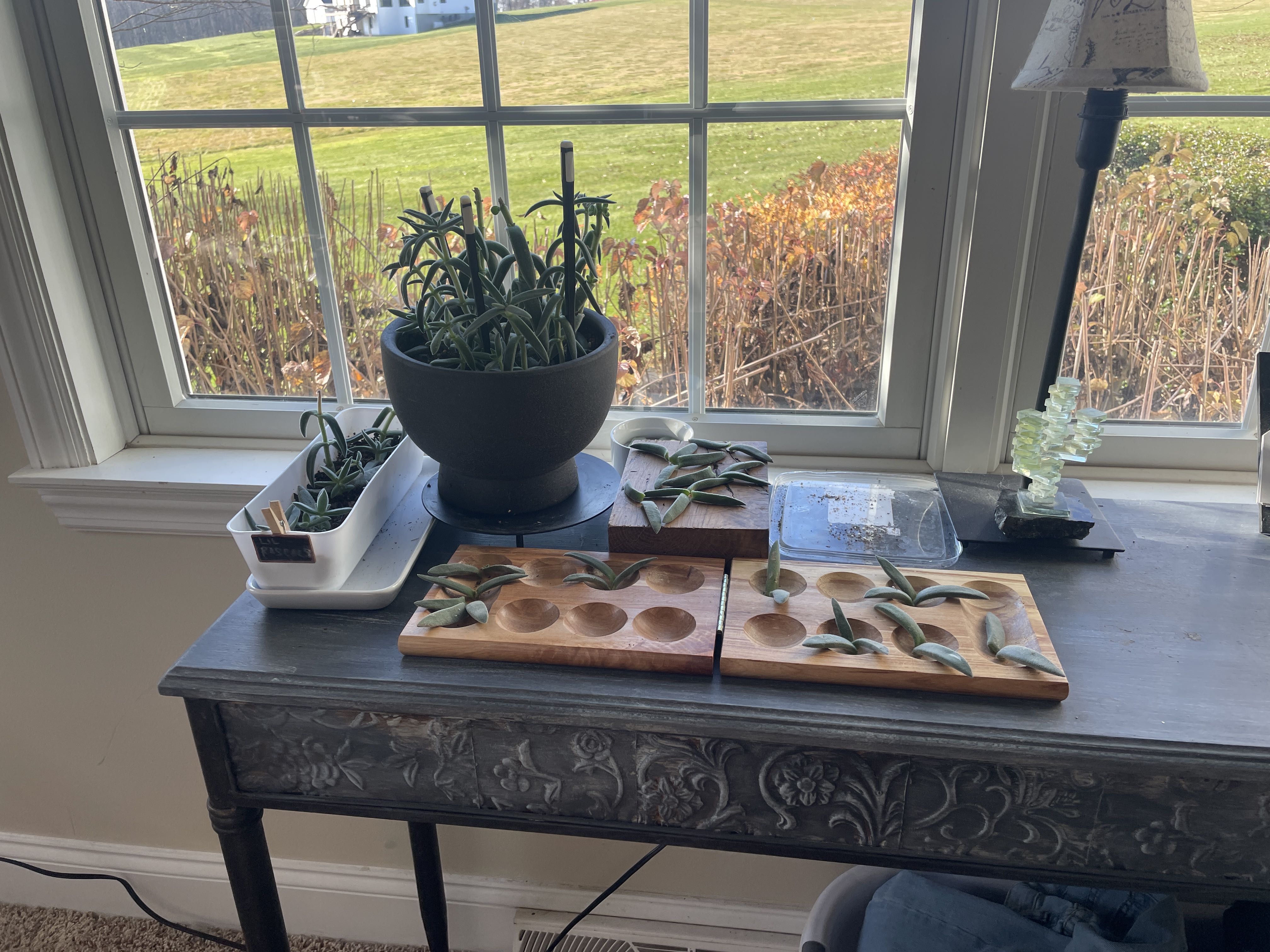 Photo from the post