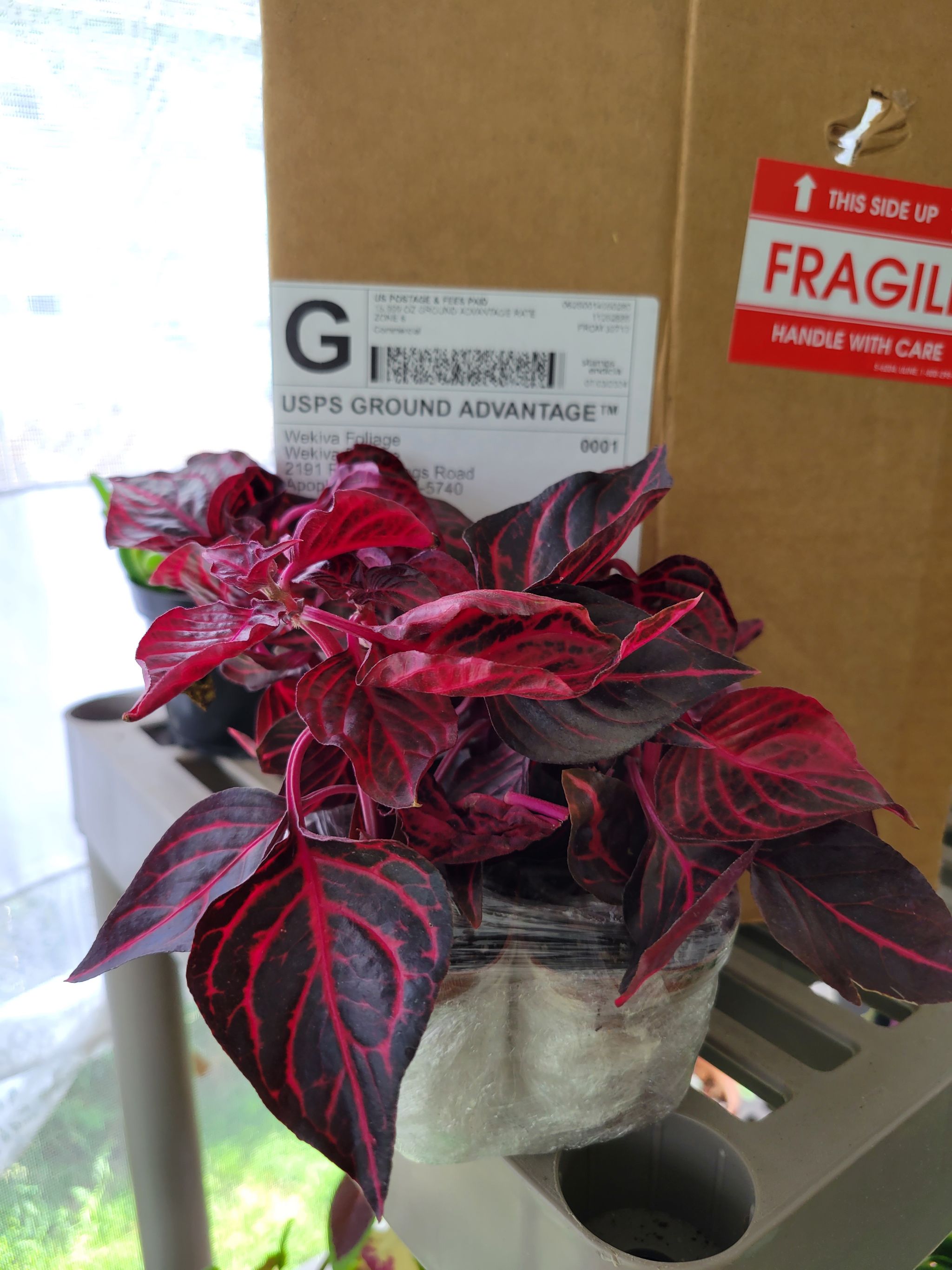 Photo from the post