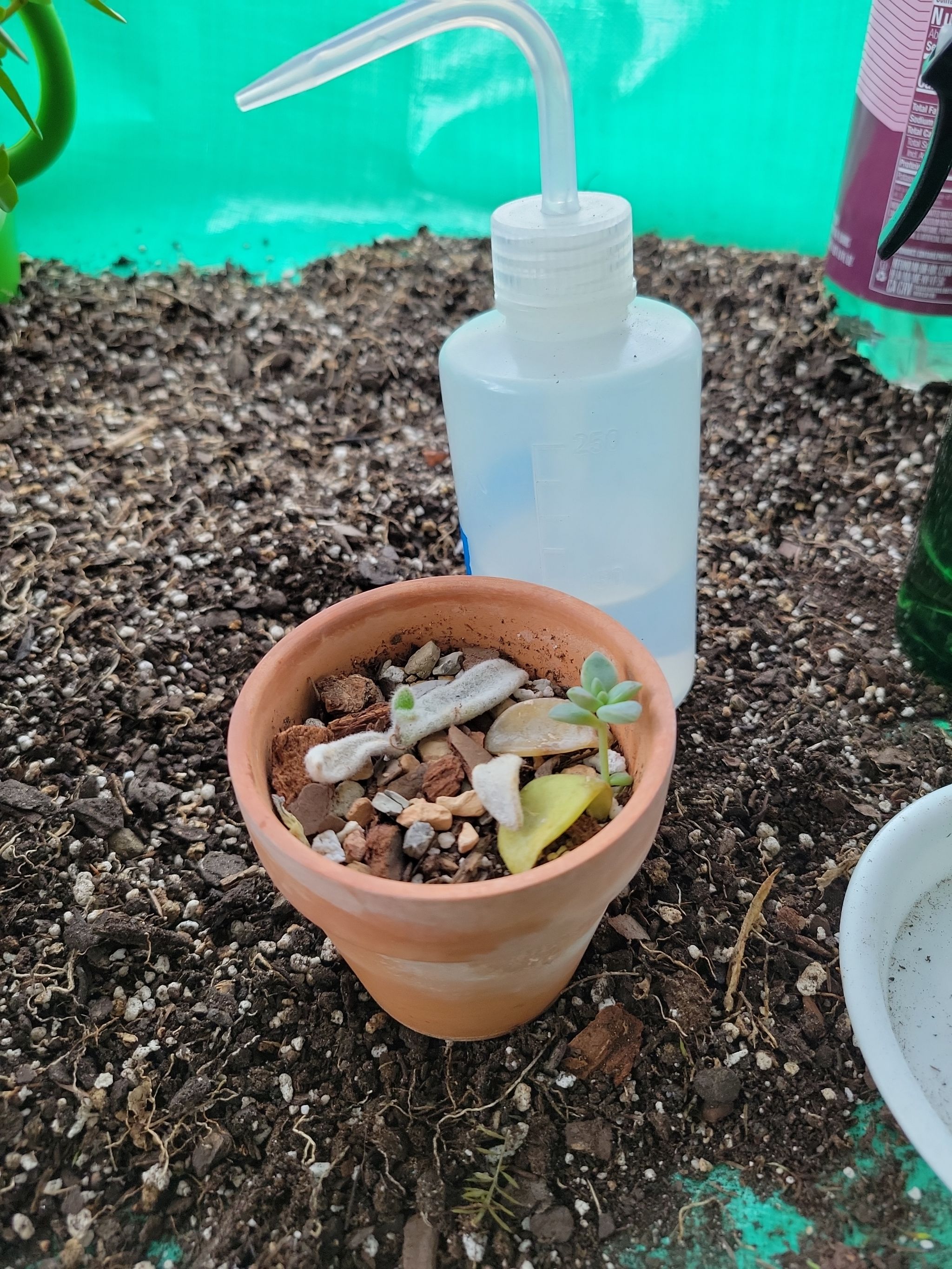 Photo from the post