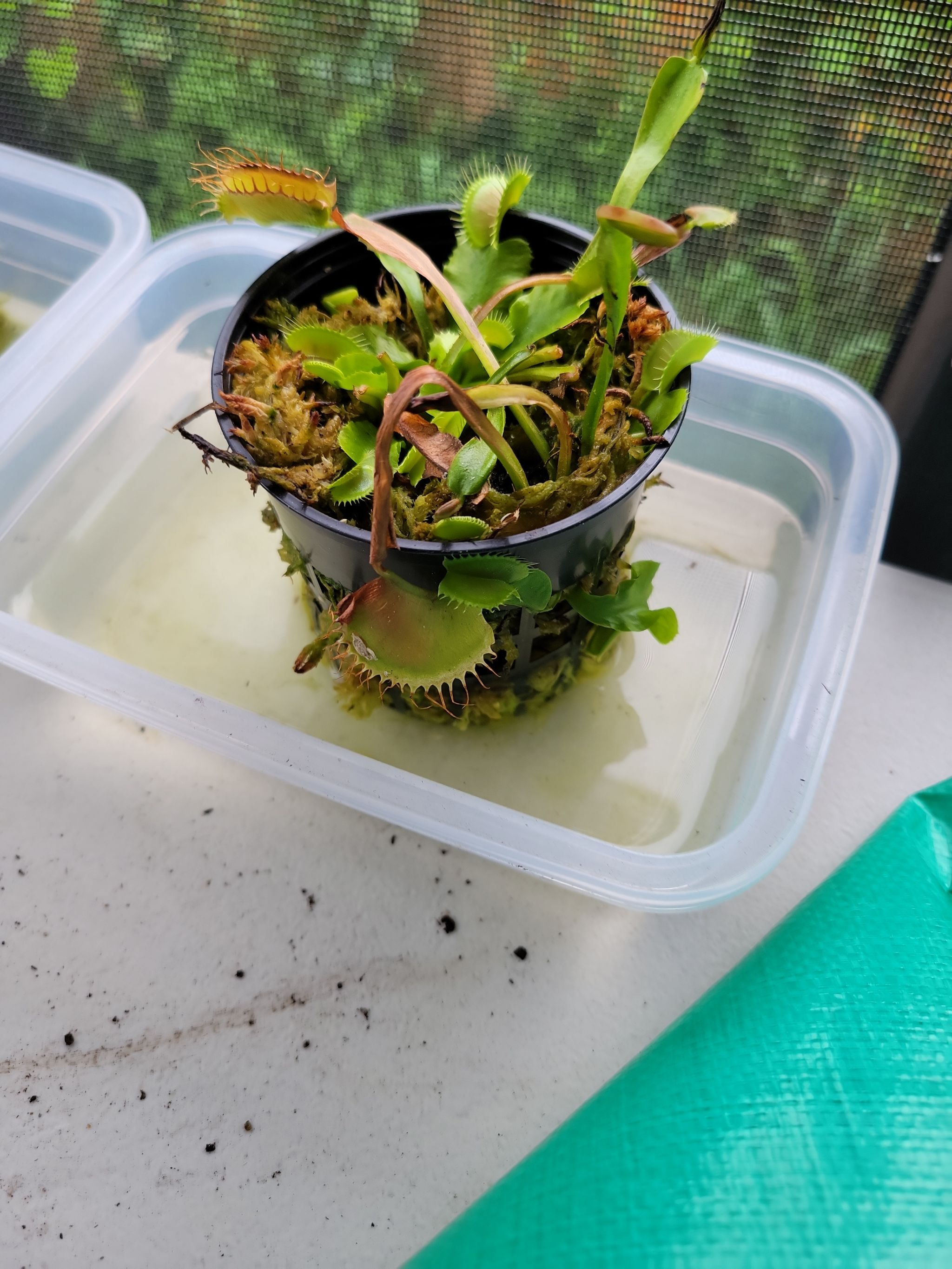 Photo from the post
