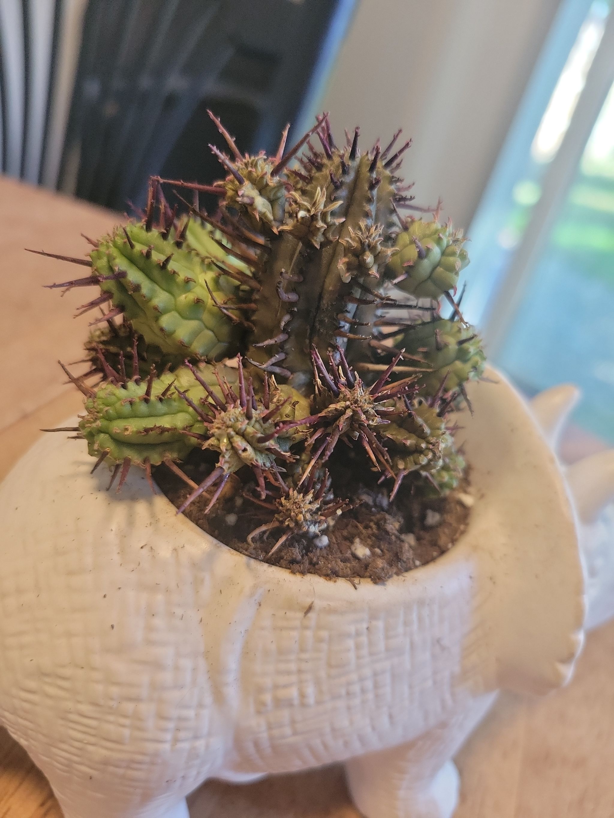 Photo from the post