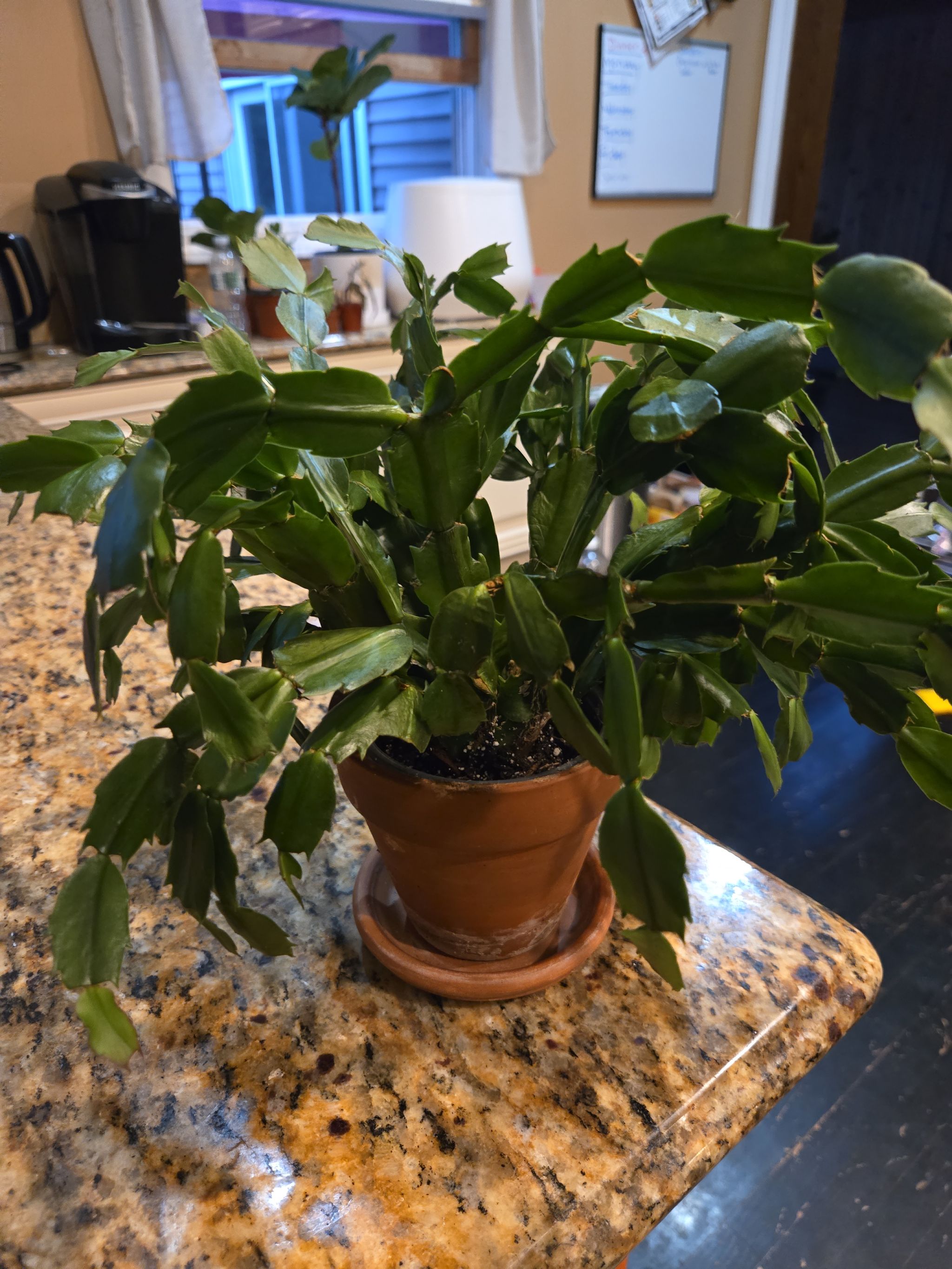 Photo from the post