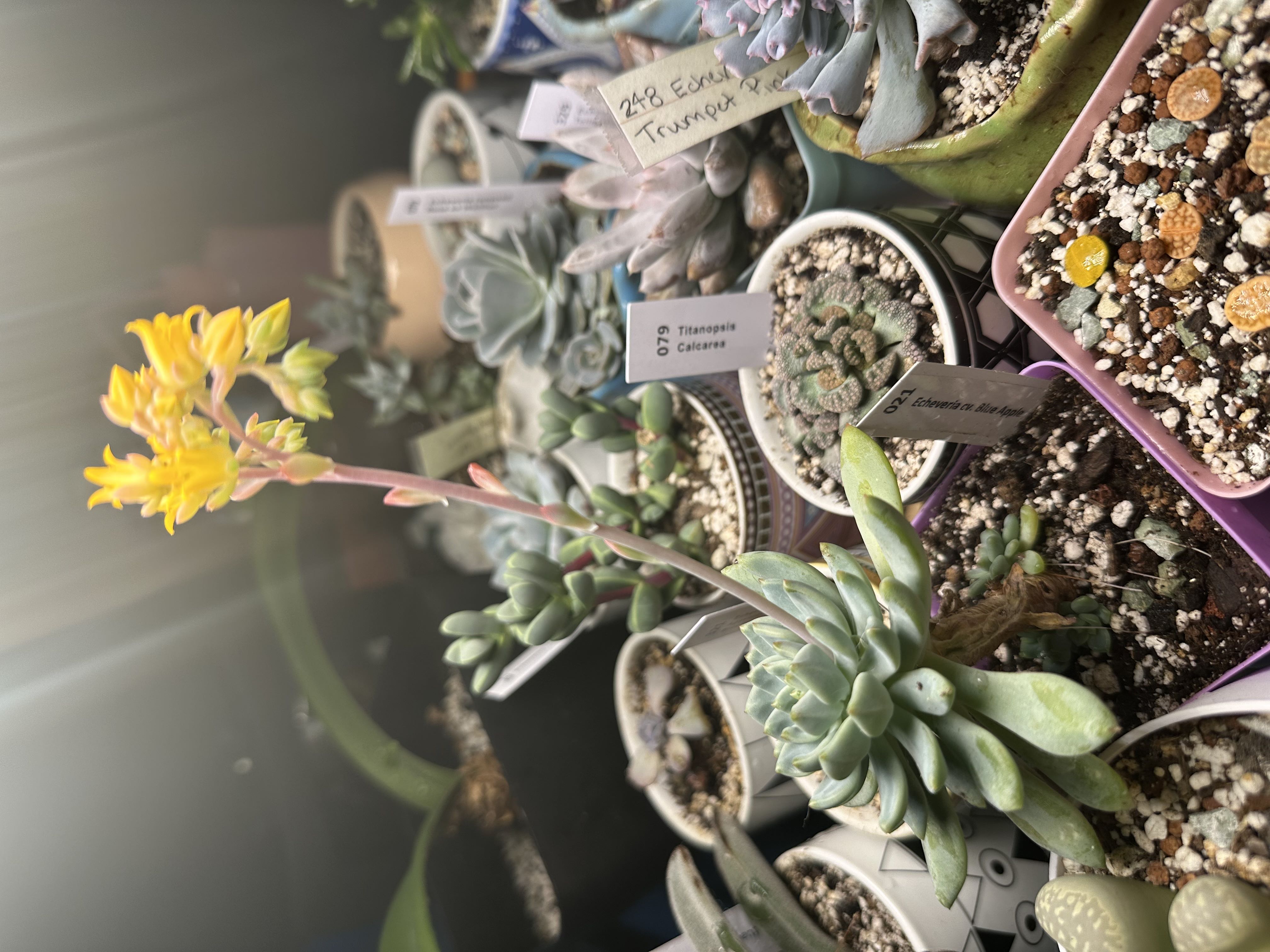 Photo from the post