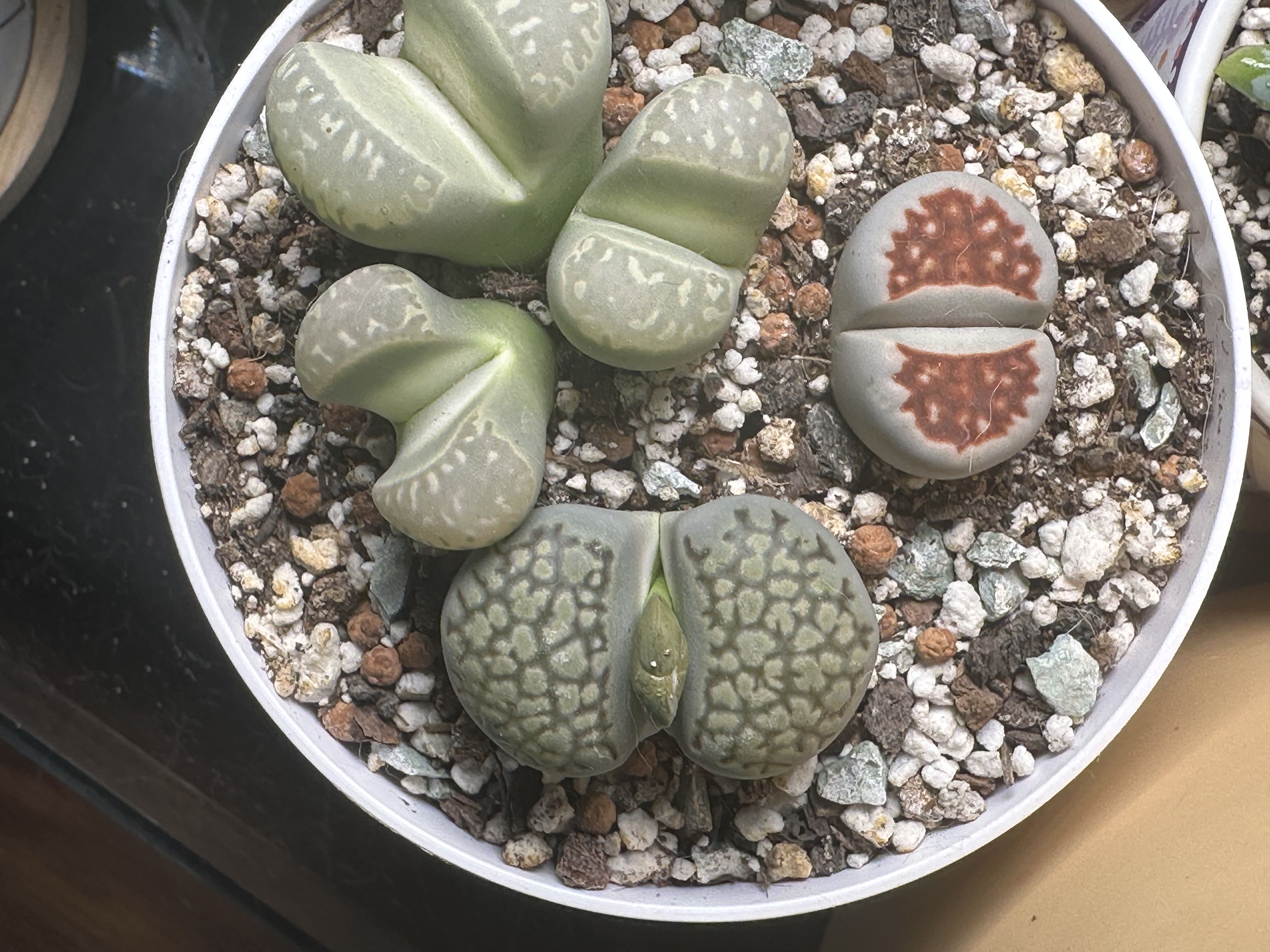 Photo from the post