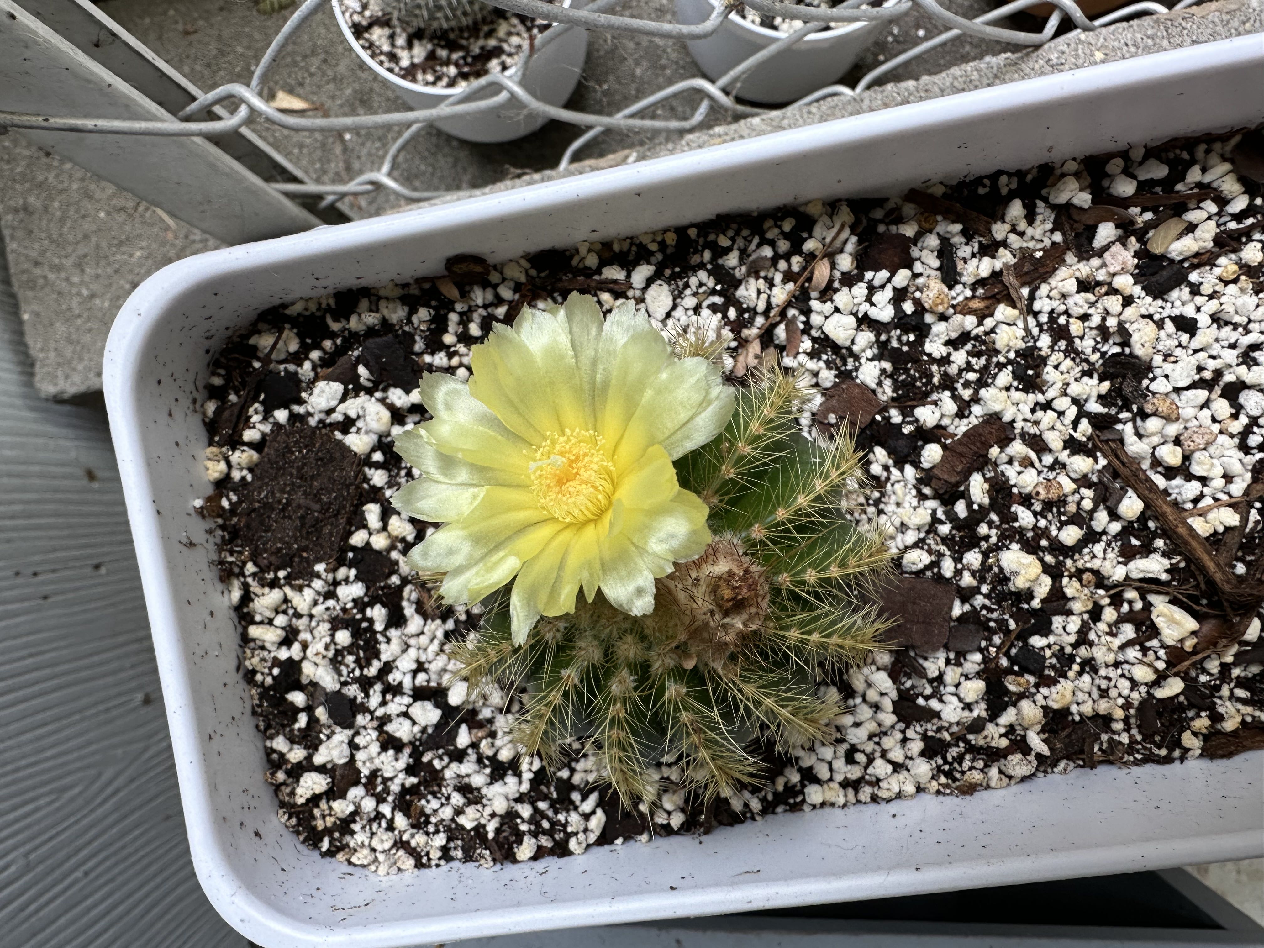 Photo from the post
