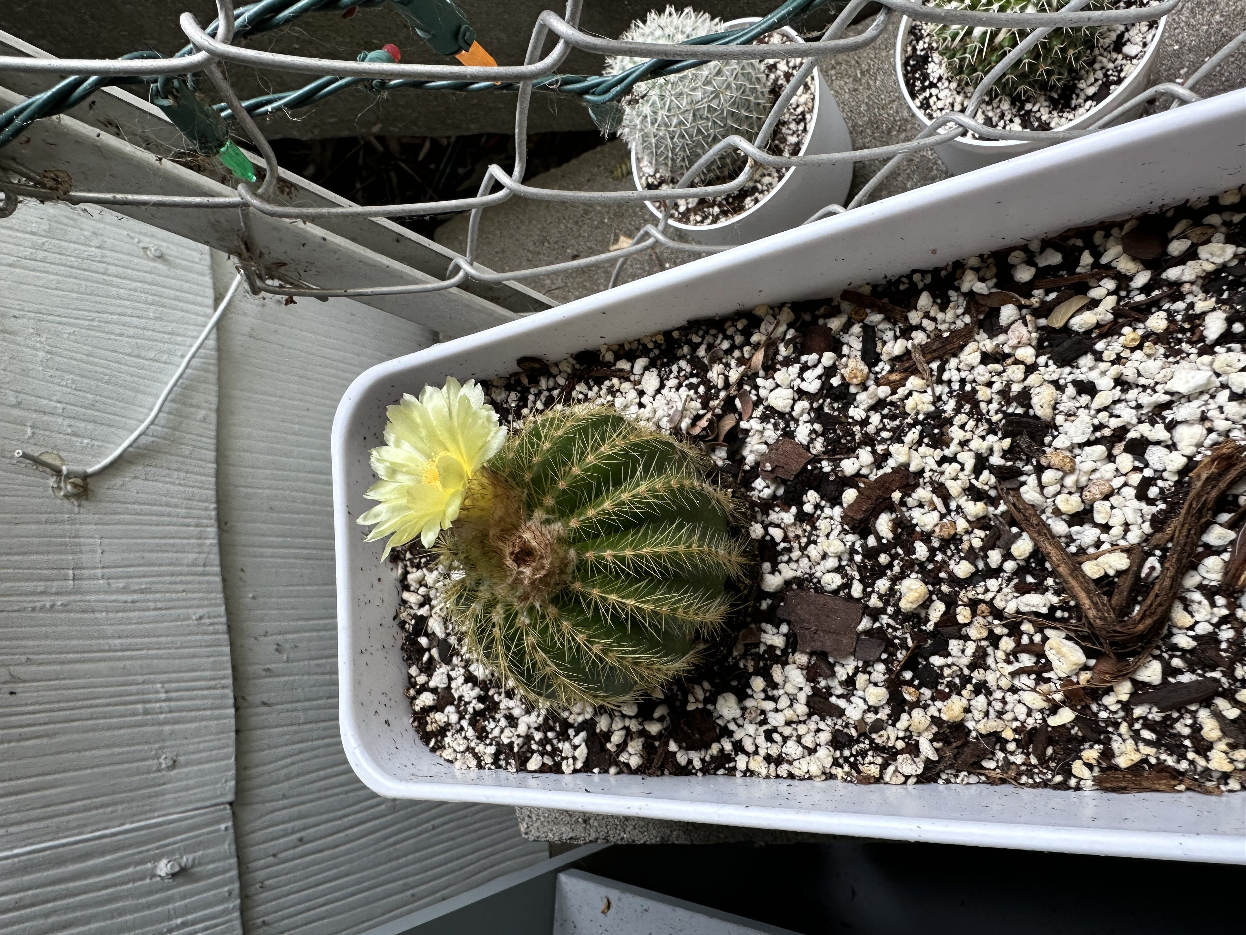 Photo from the post