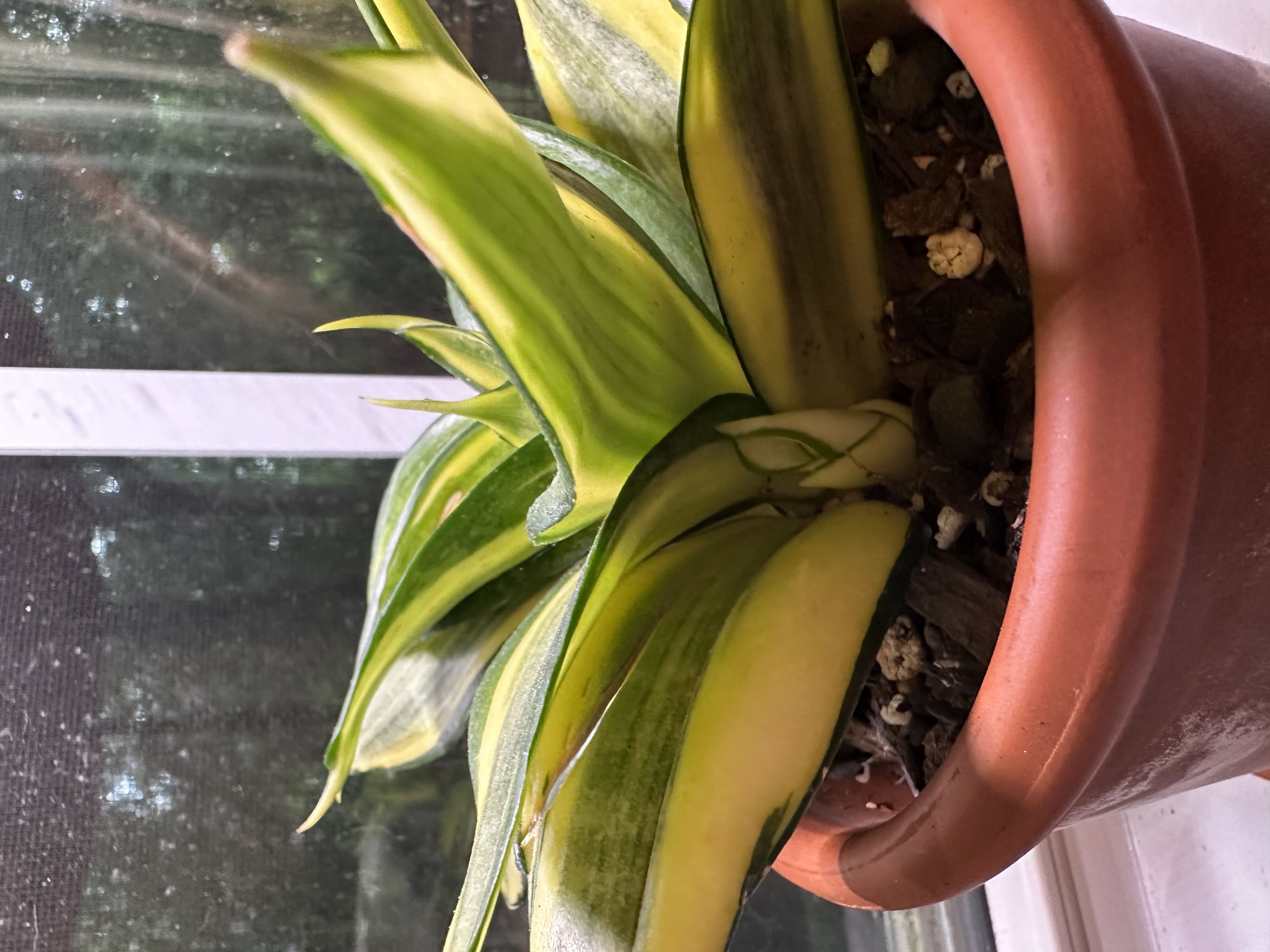 Photo from the post