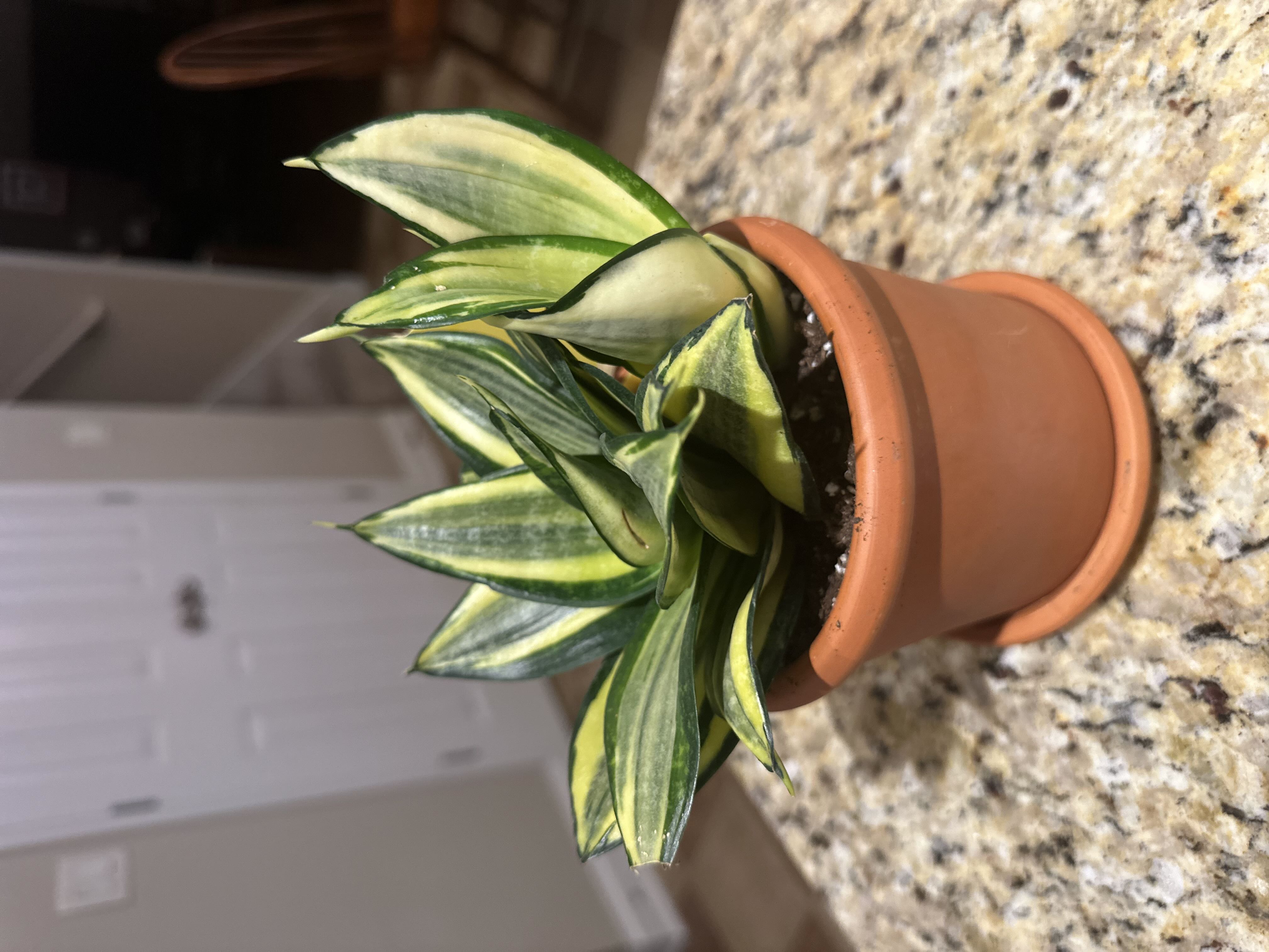 Photo from the post