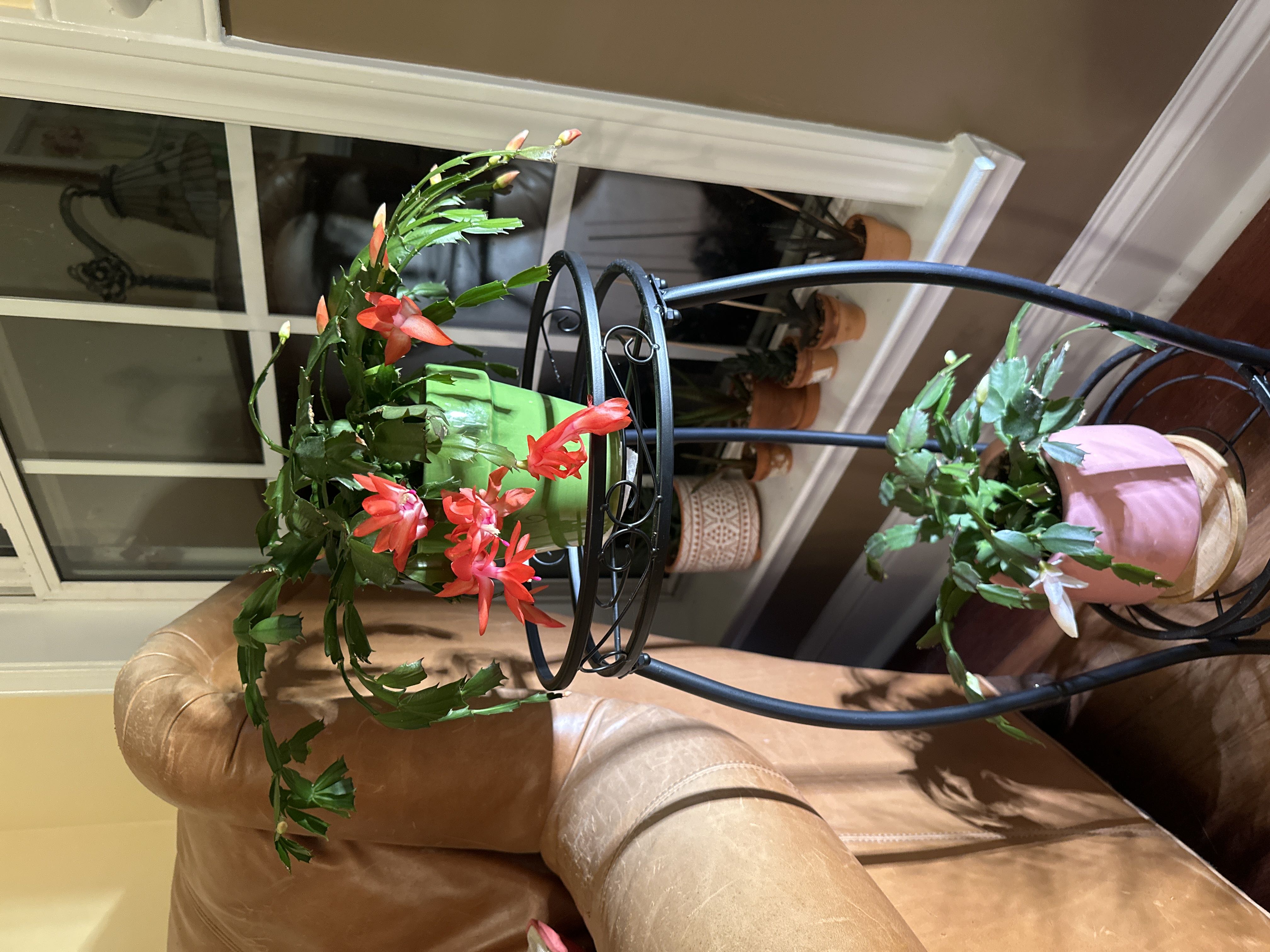 Photo from the post