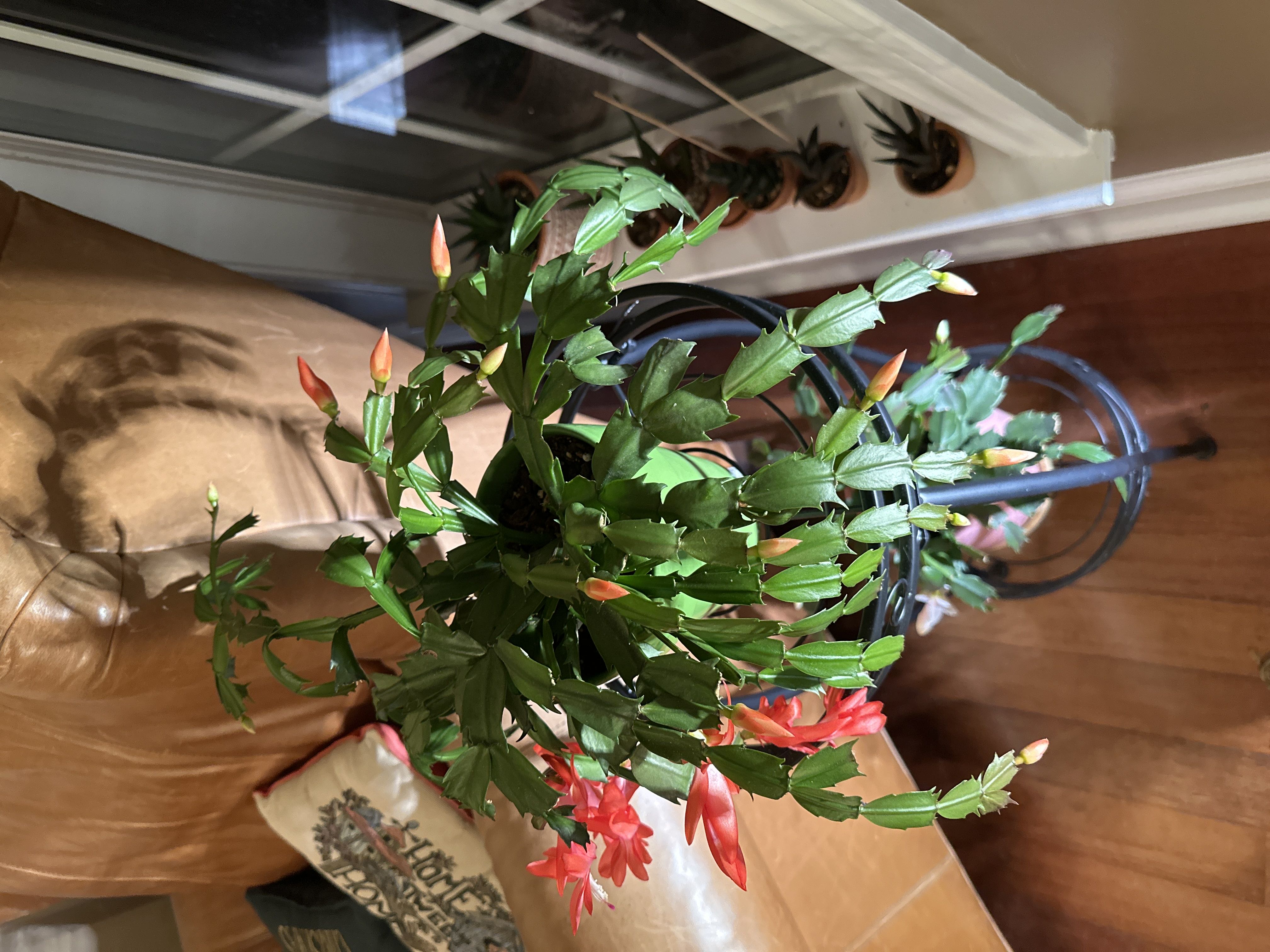 Photo from the post