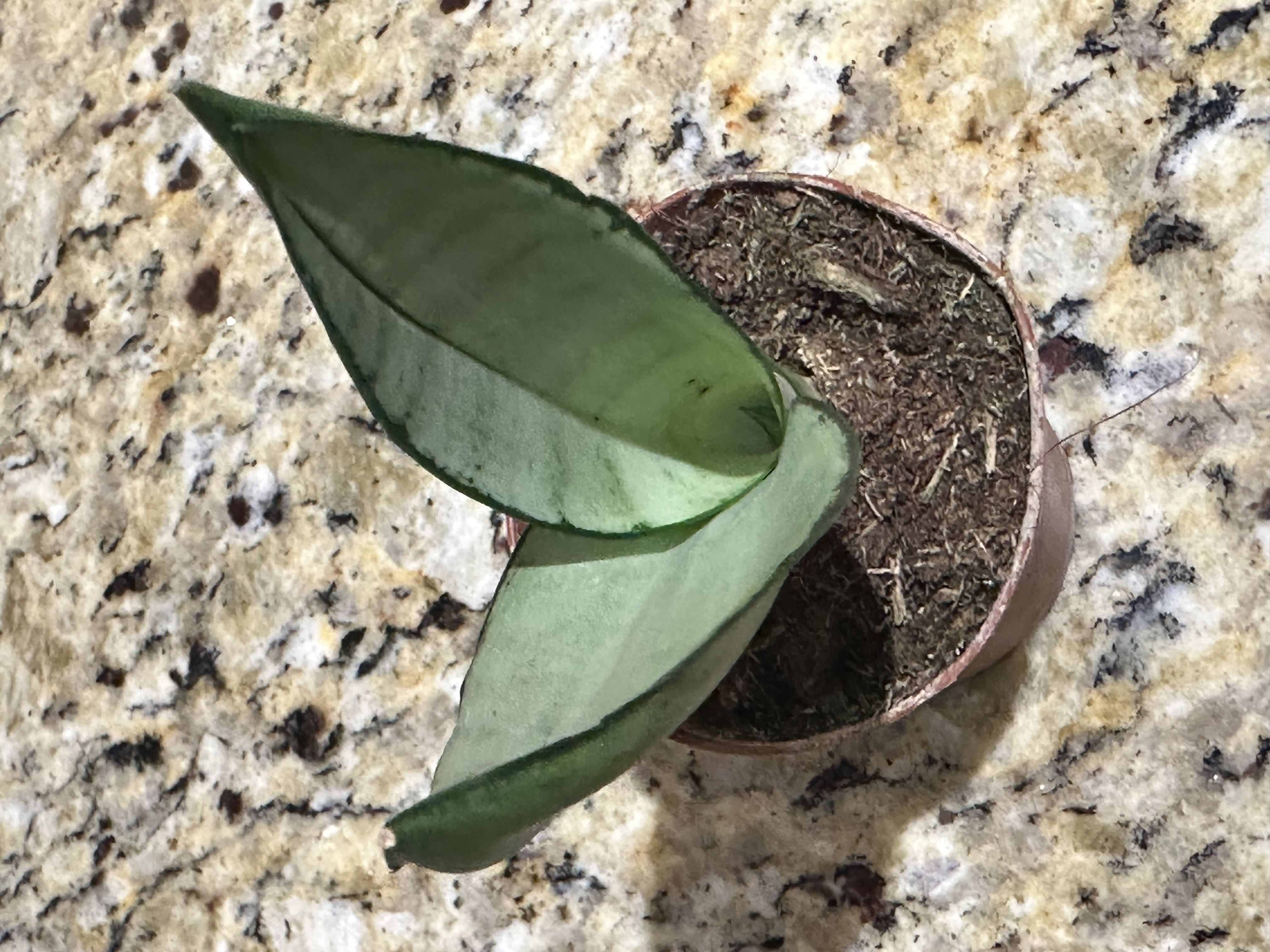 Photo from the post