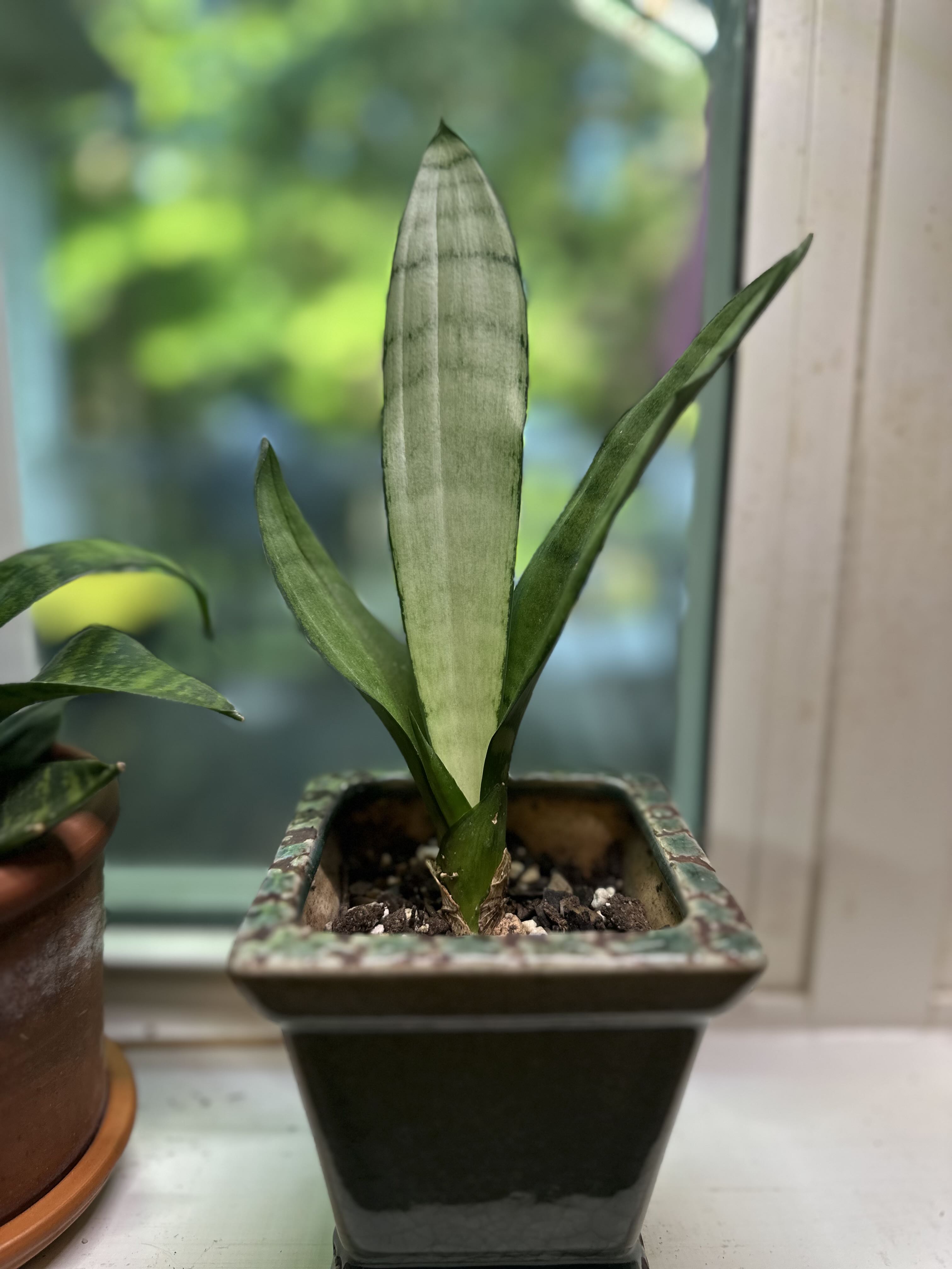 Photo from the post
