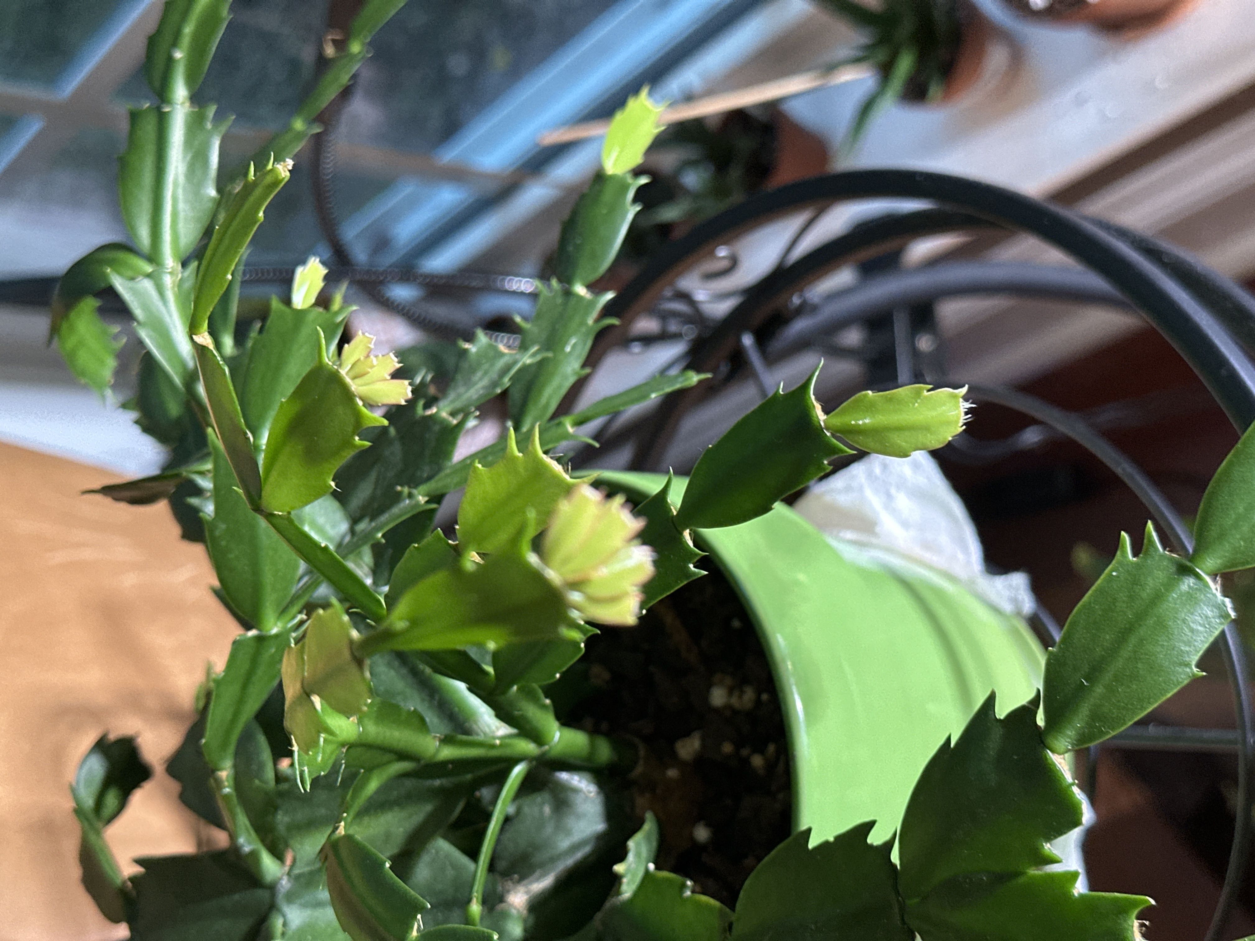 Photo from the post