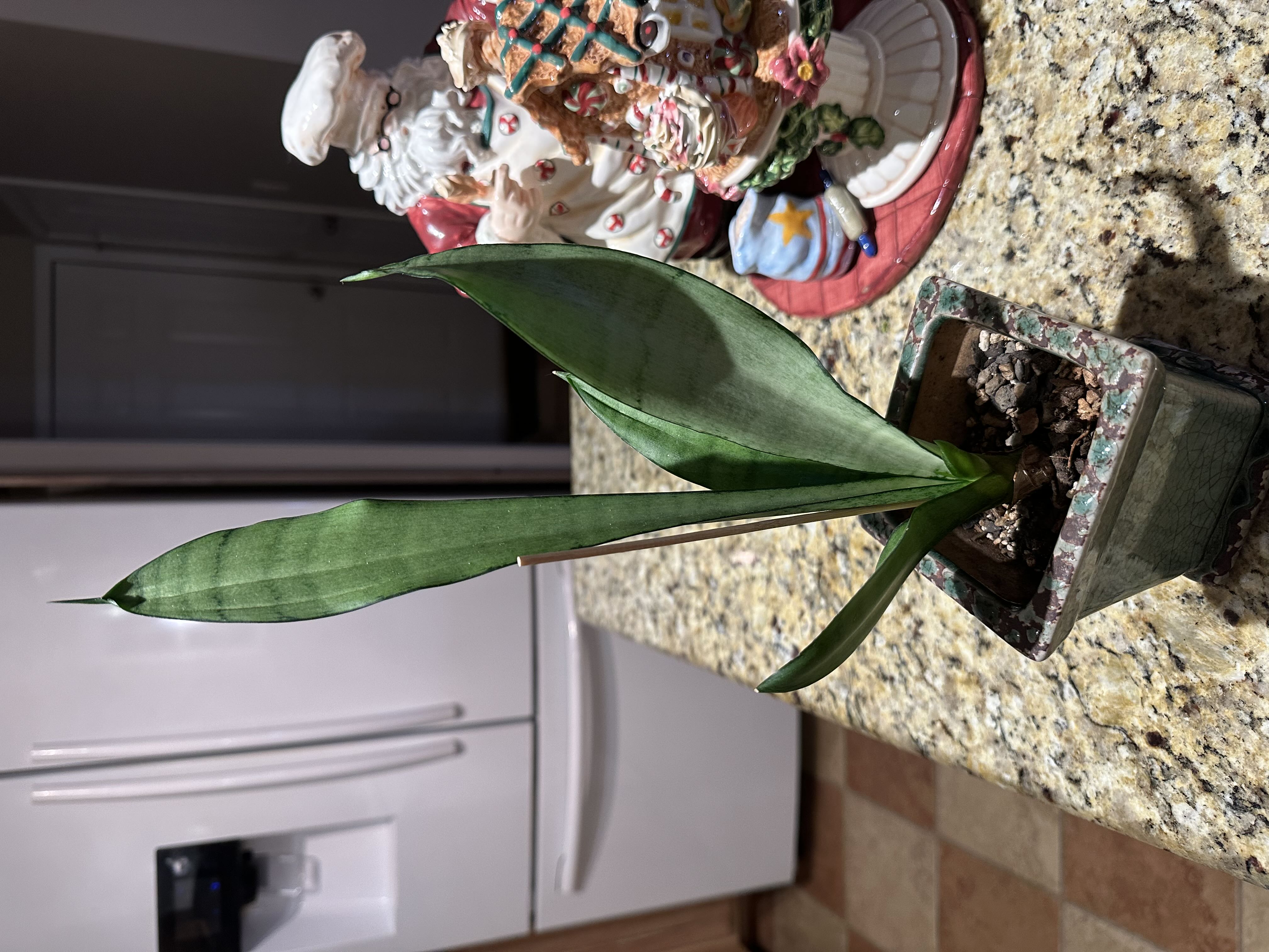 Photo from the post
