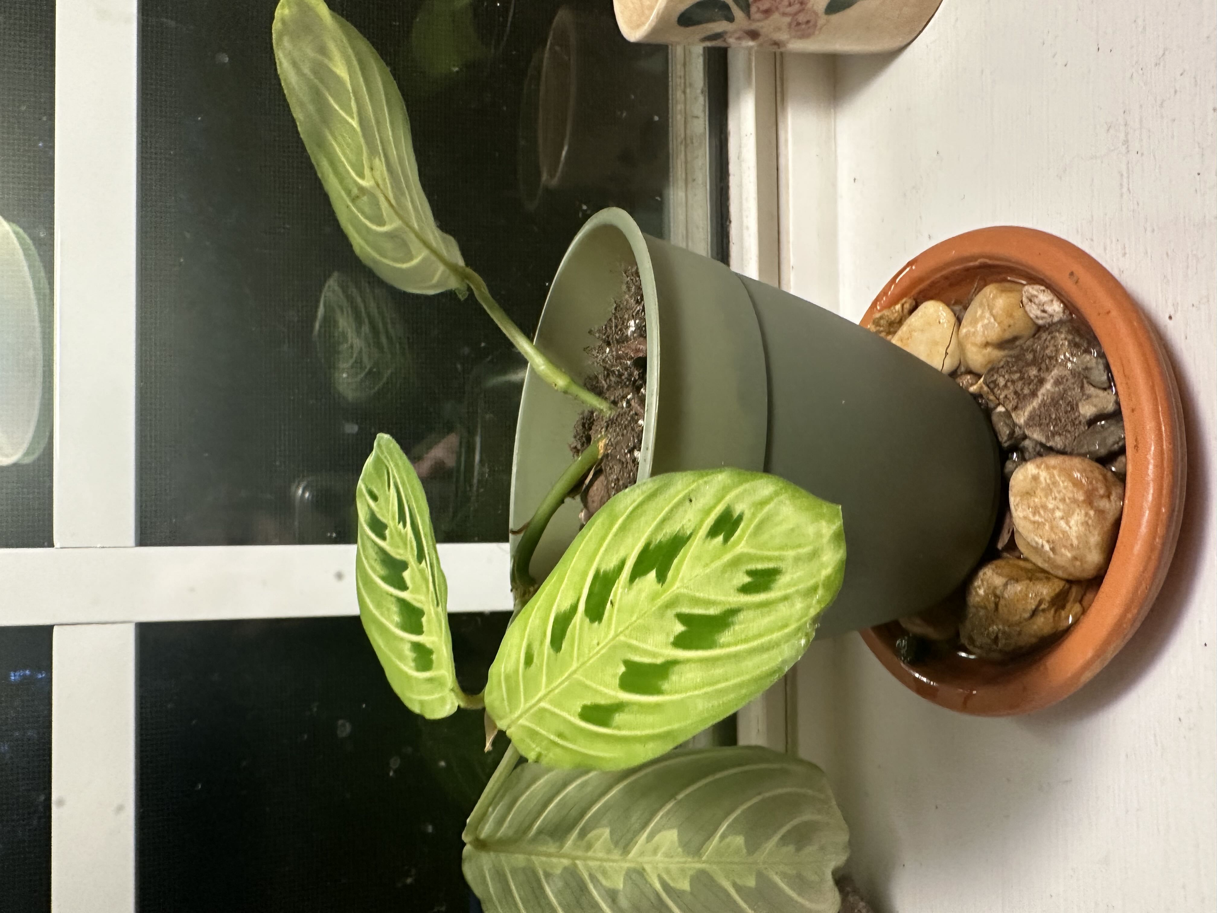 Photo from the post